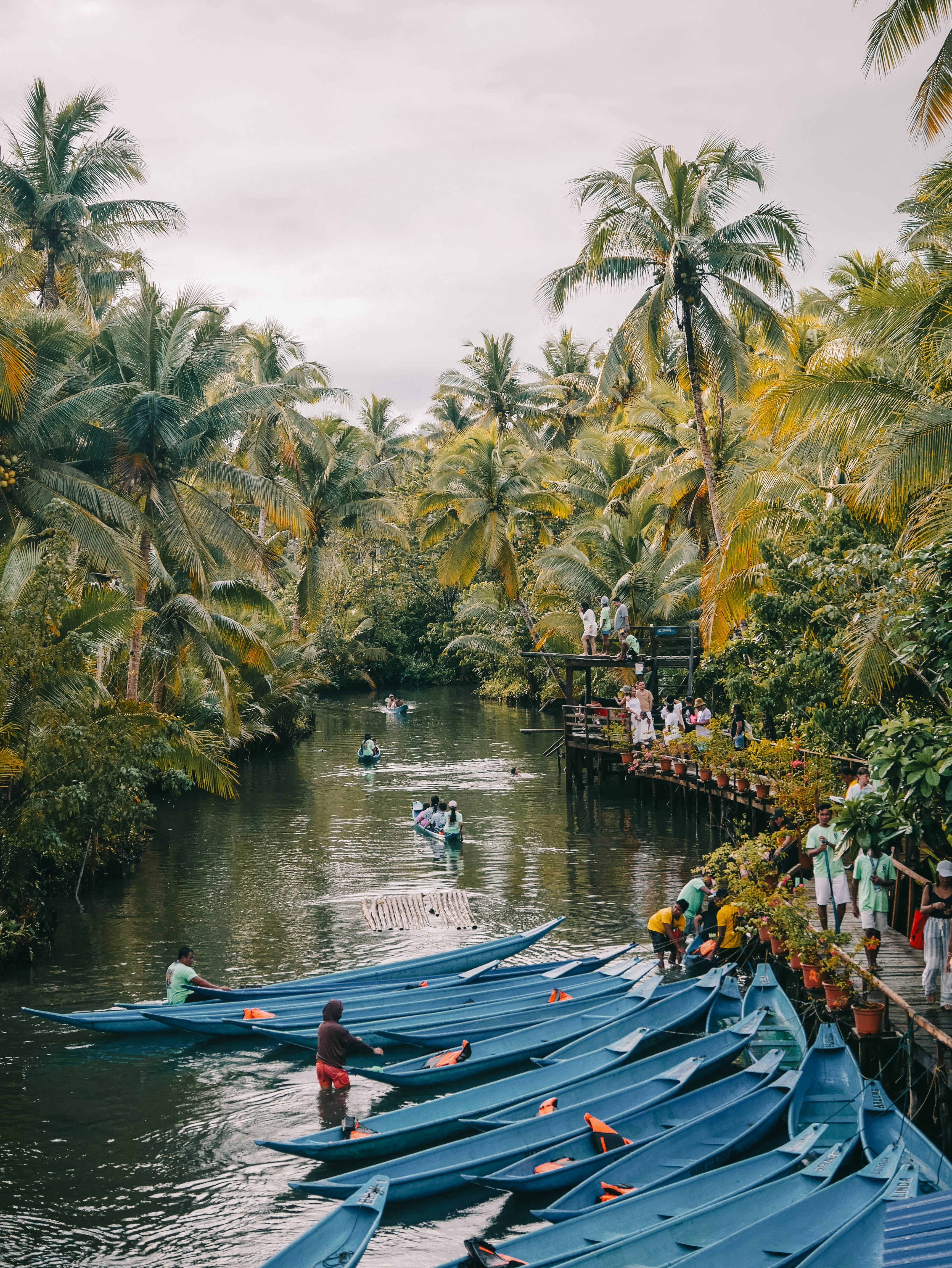 Blue boats line a tropical river with palm trees.