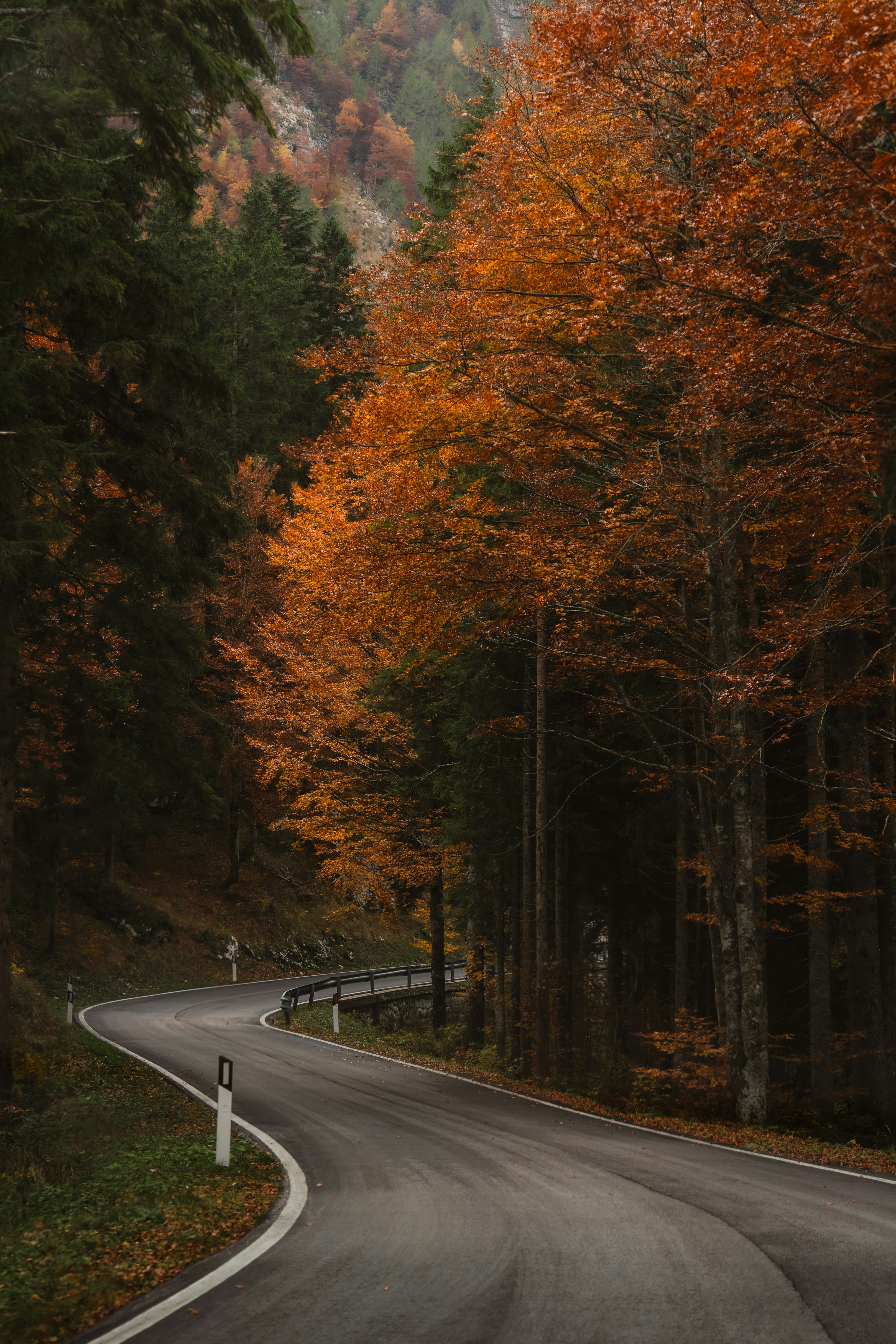 Photo by ahmetyuksek