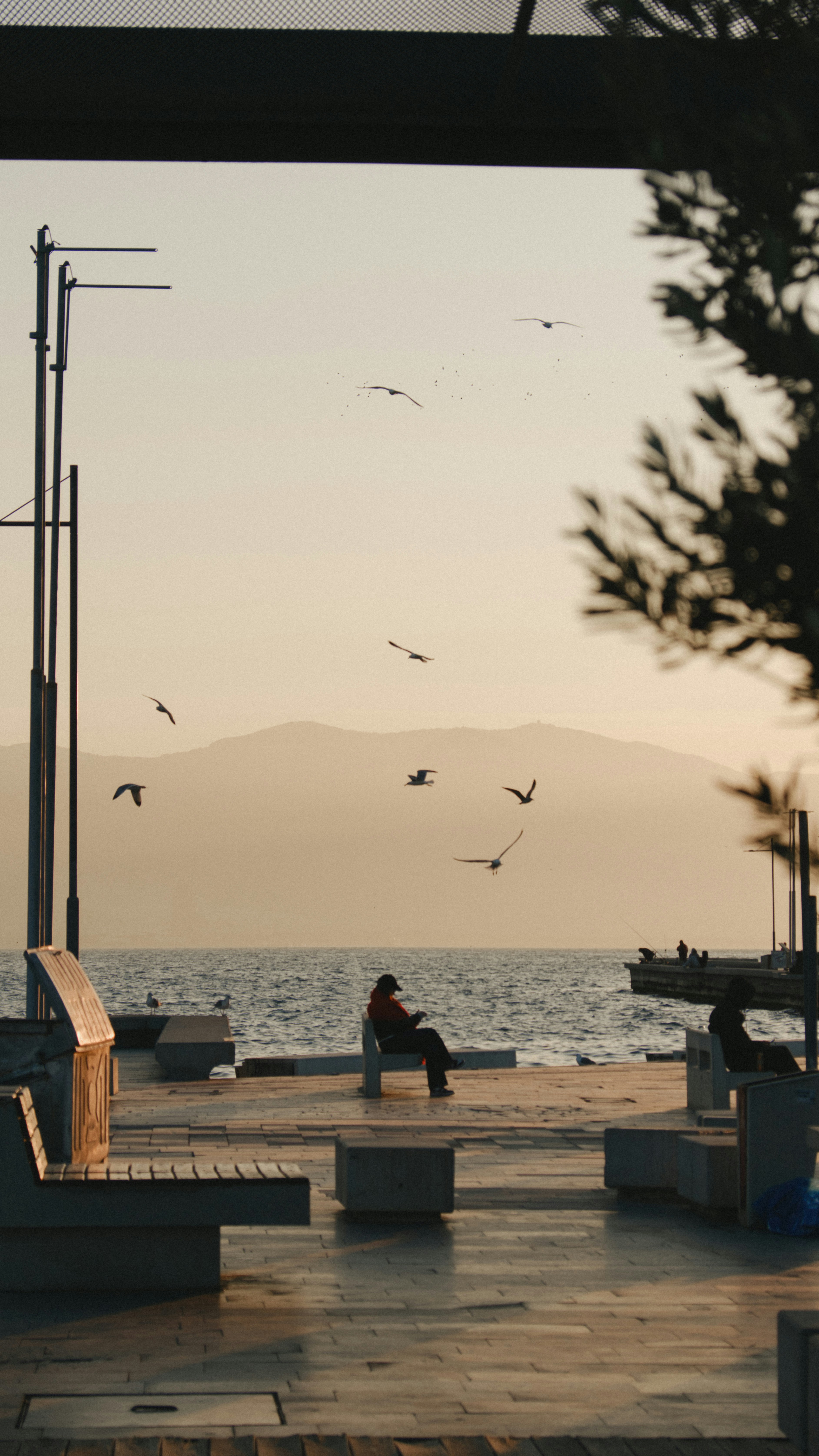 Person, die am Meer sitzt, während Vögel fliegen