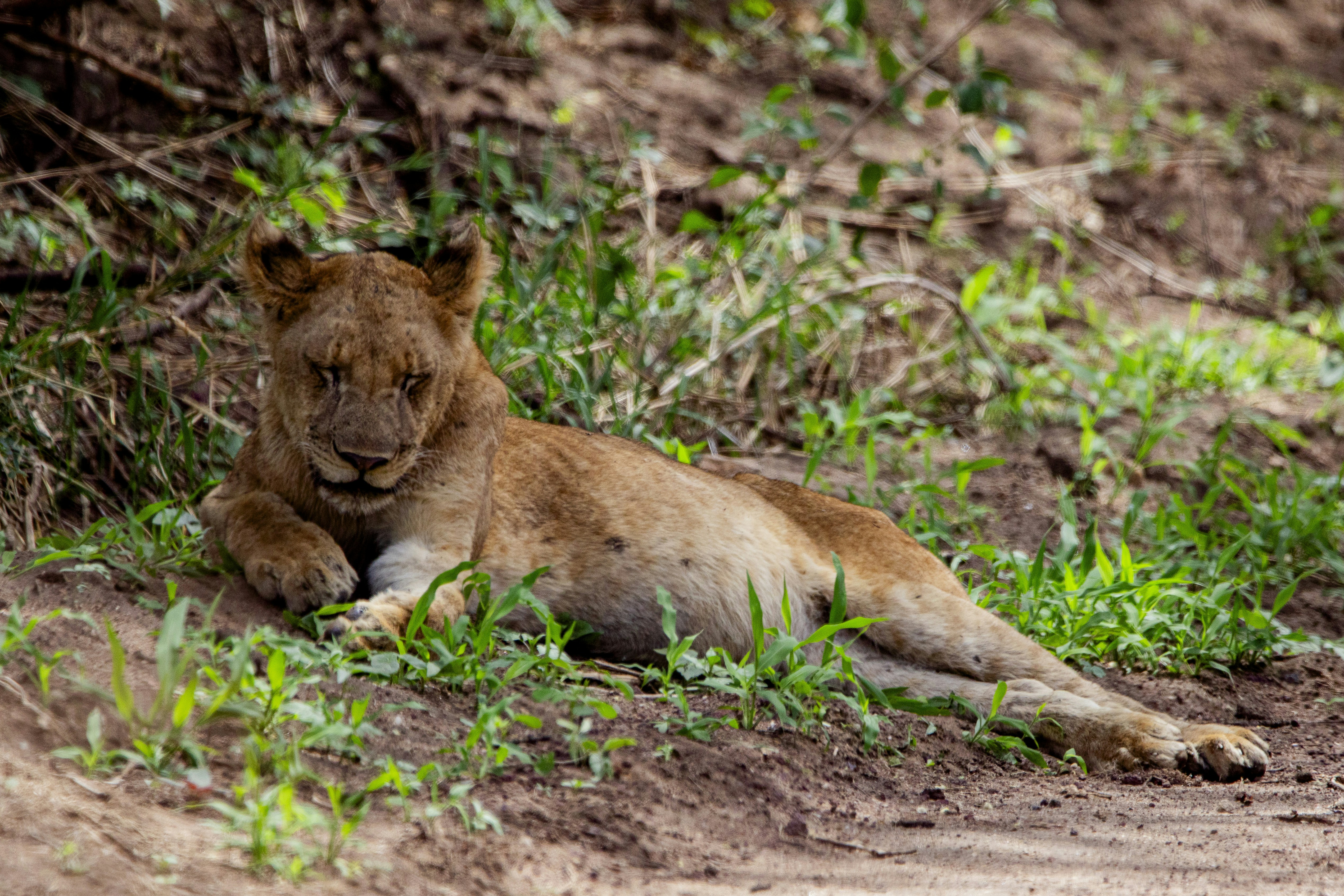 Photo by mr_photographertz