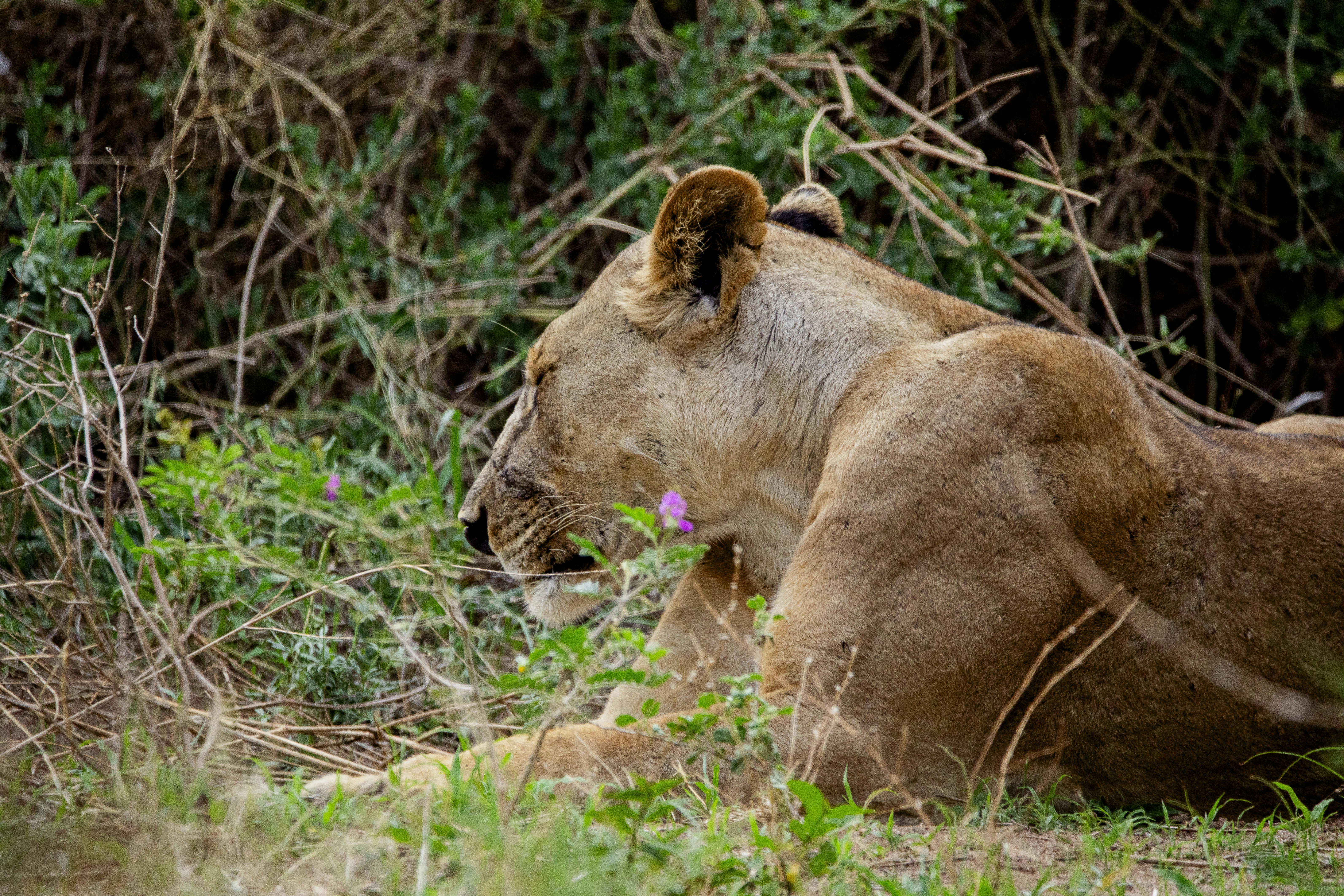 Photo by mr_photographertz