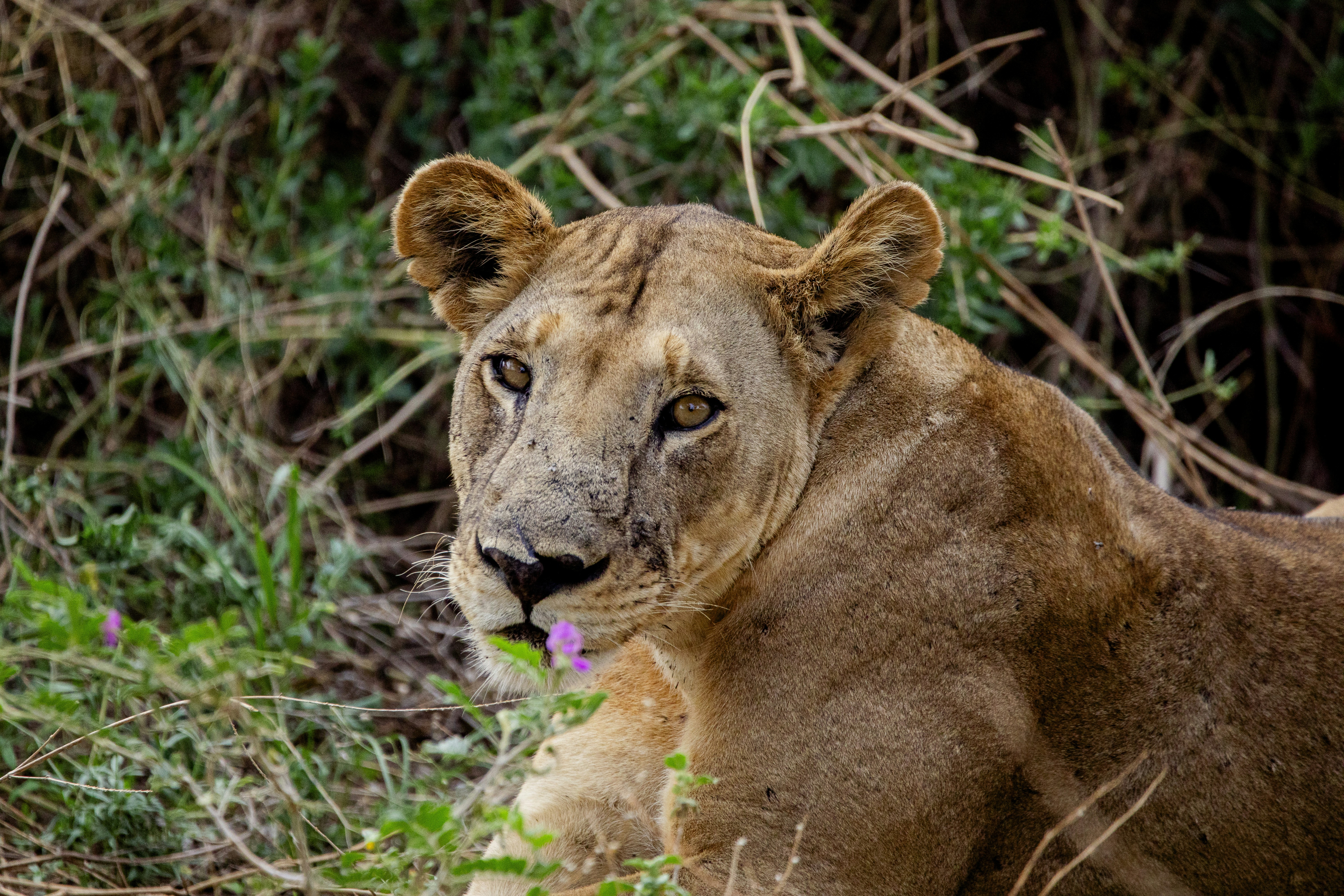 Photo by mr_photographertz