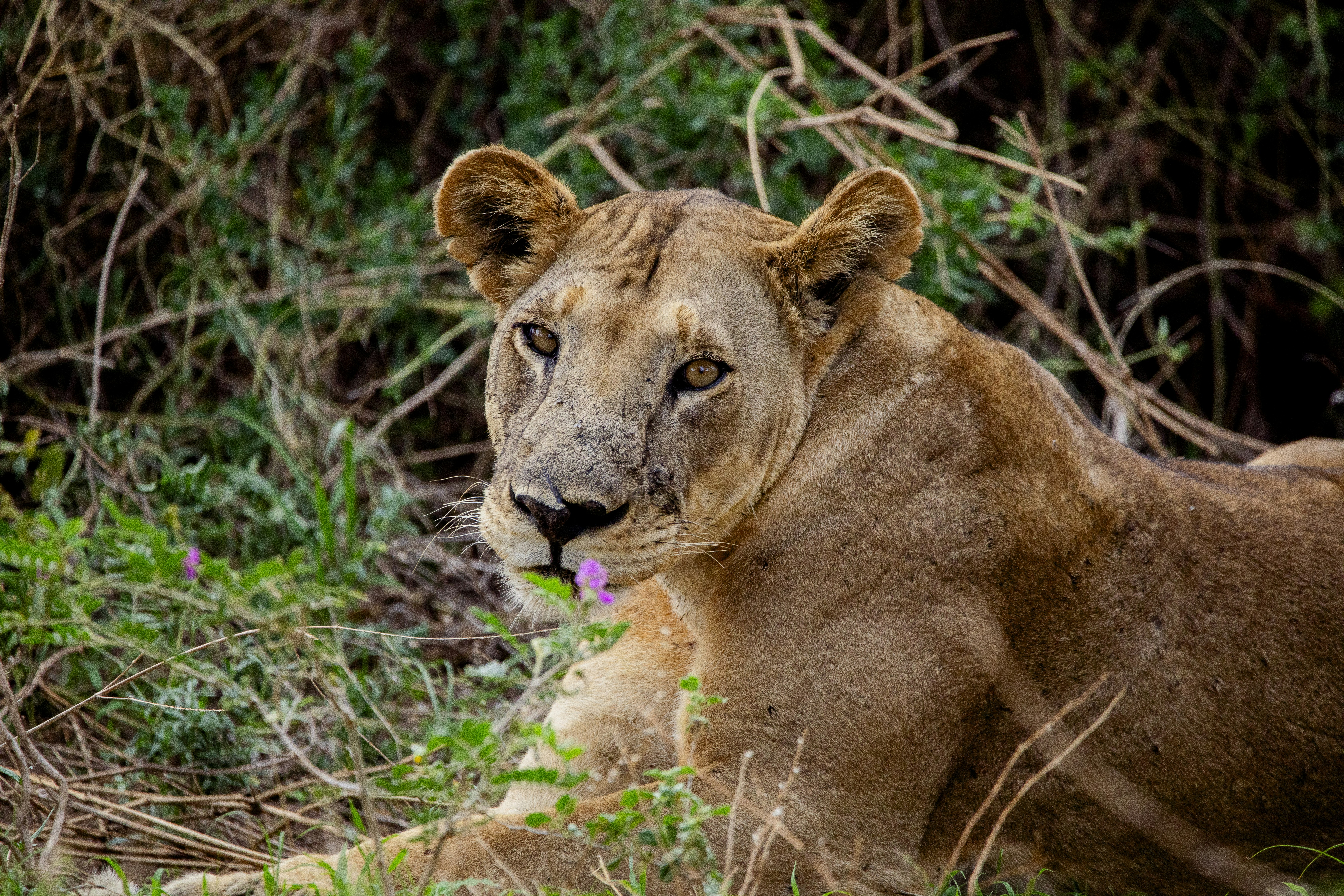 Photo by mr_photographertz