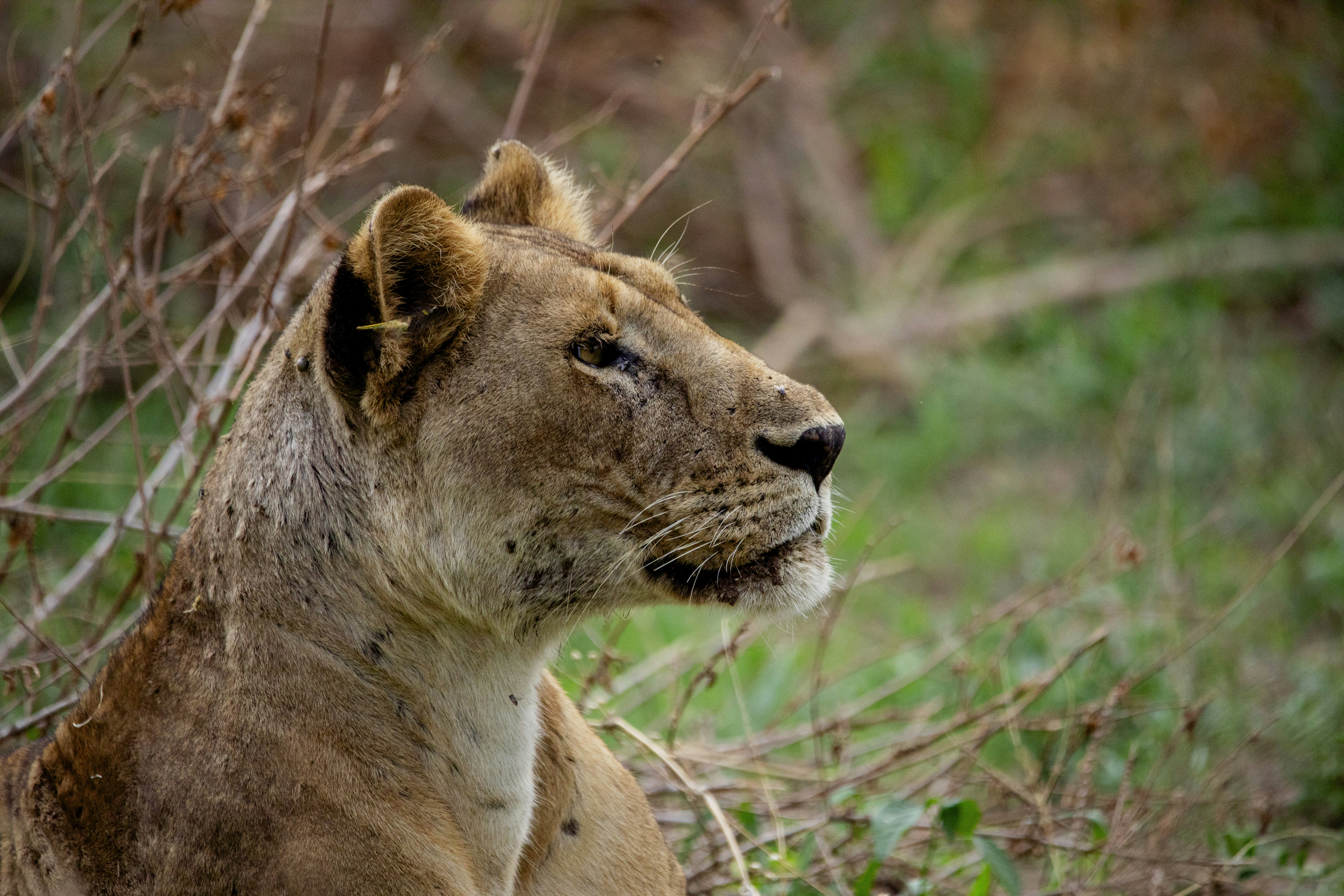 Photo by mr_photographertz