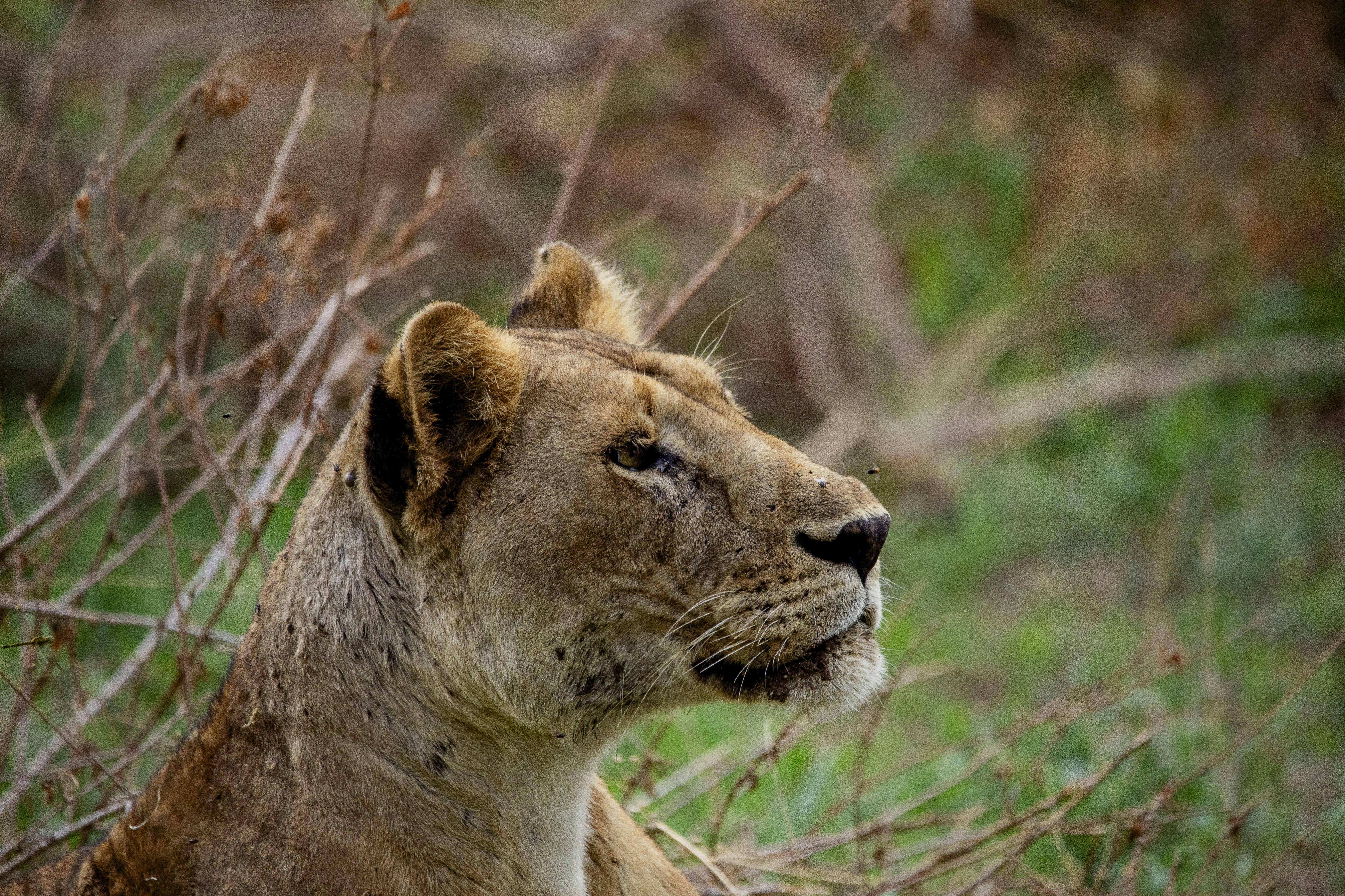 Photo by mr_photographertz