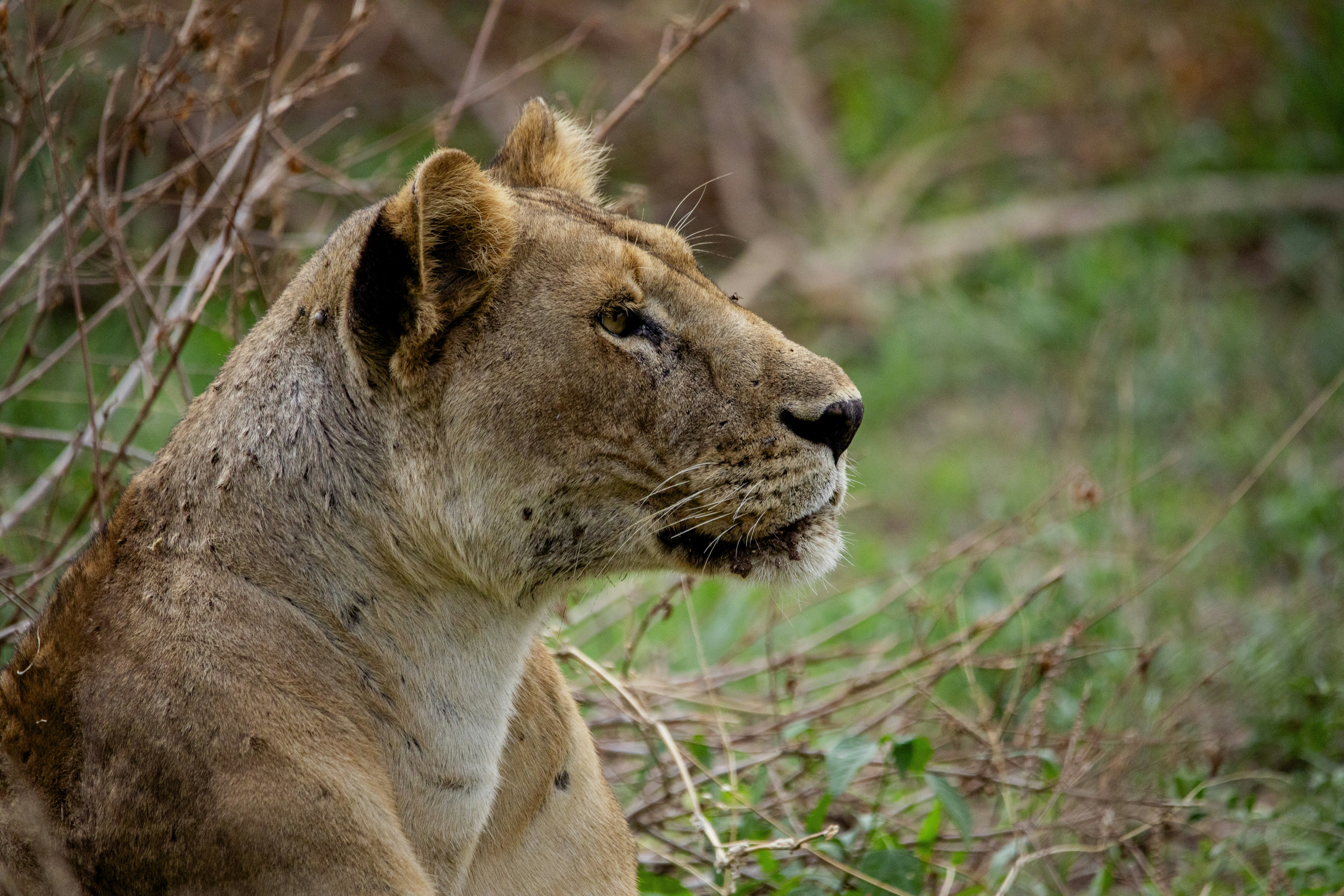 Photo by mr_photographertz