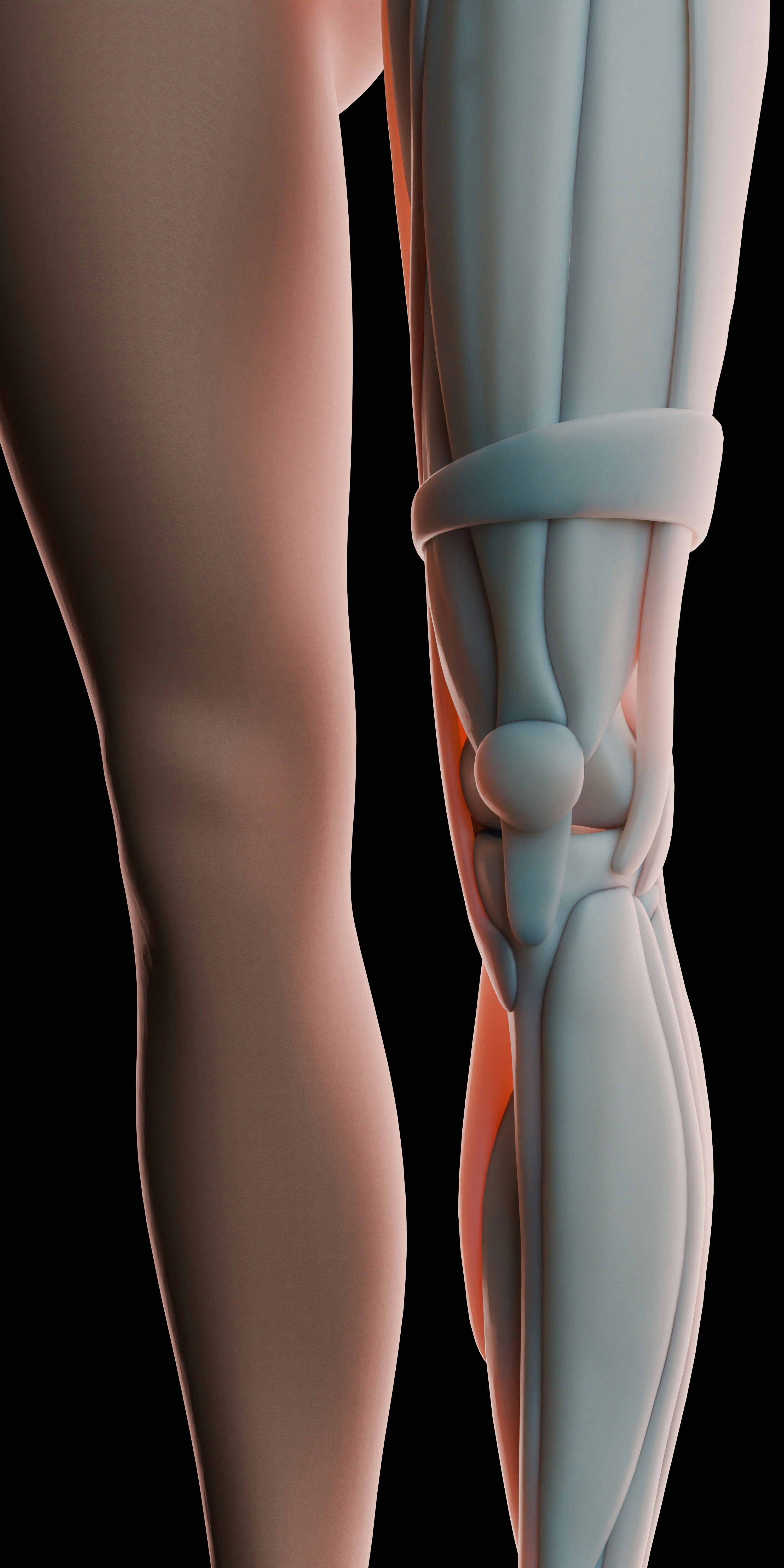 Anatomy_Female_03