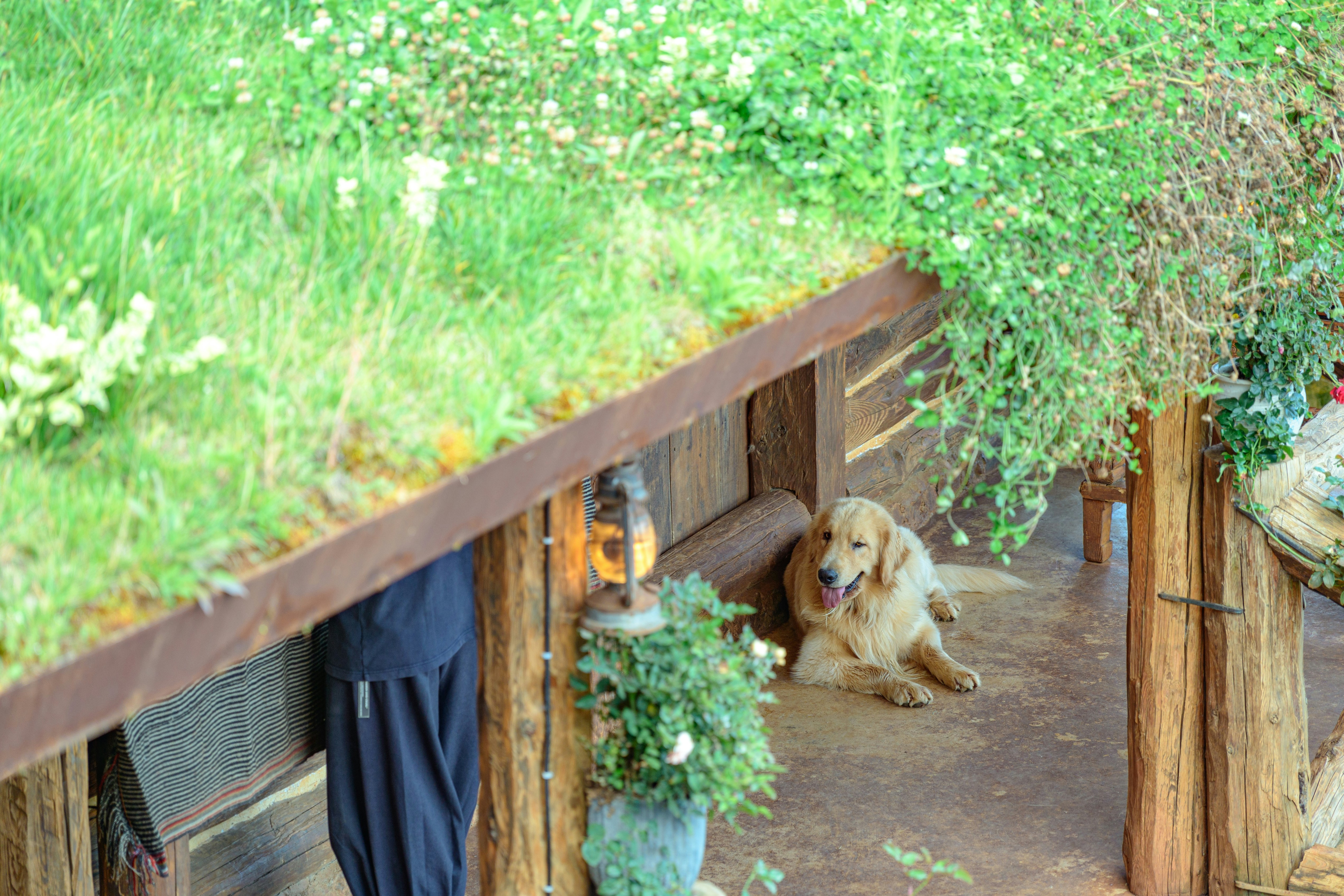 Agricultura Ecológica Y Horticultura