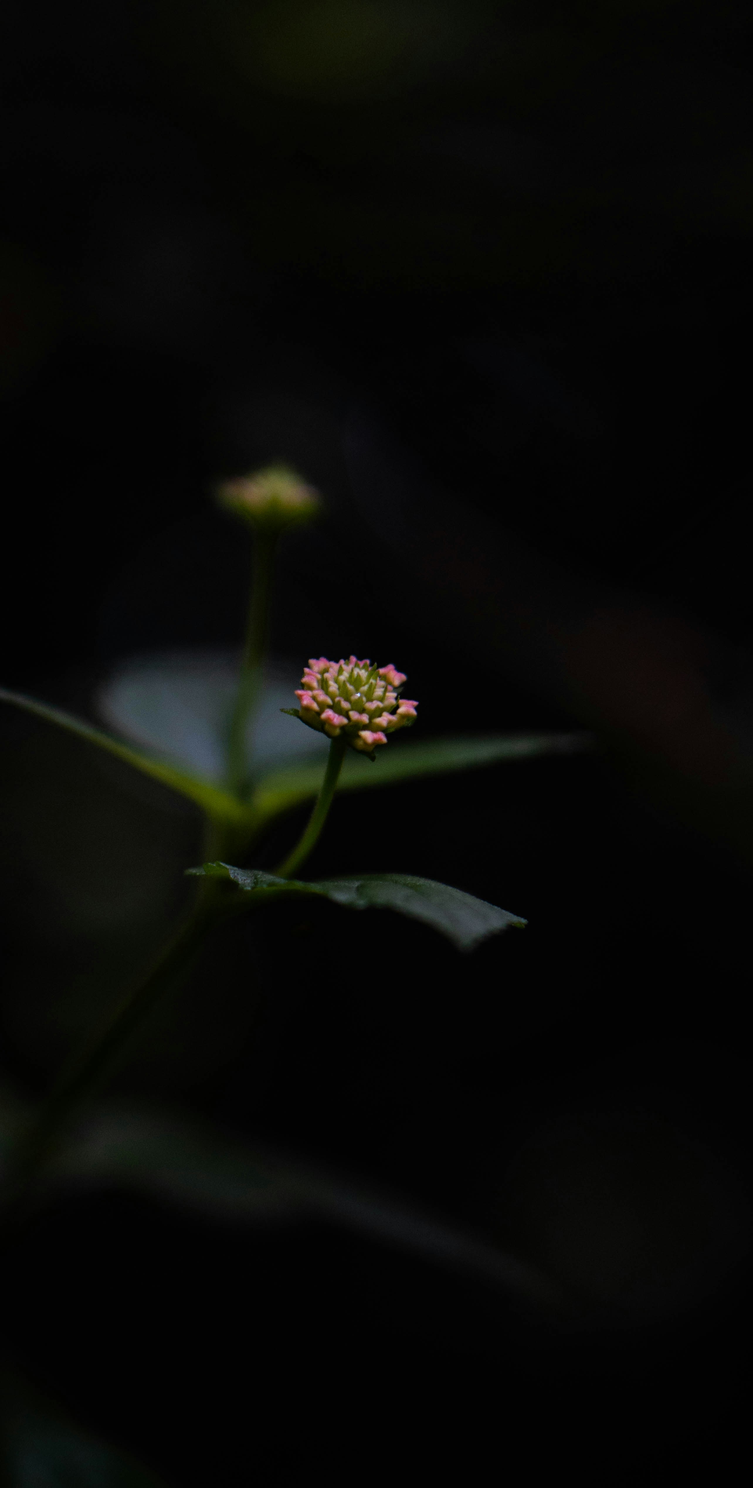 Photo by ashrafmohiuddin