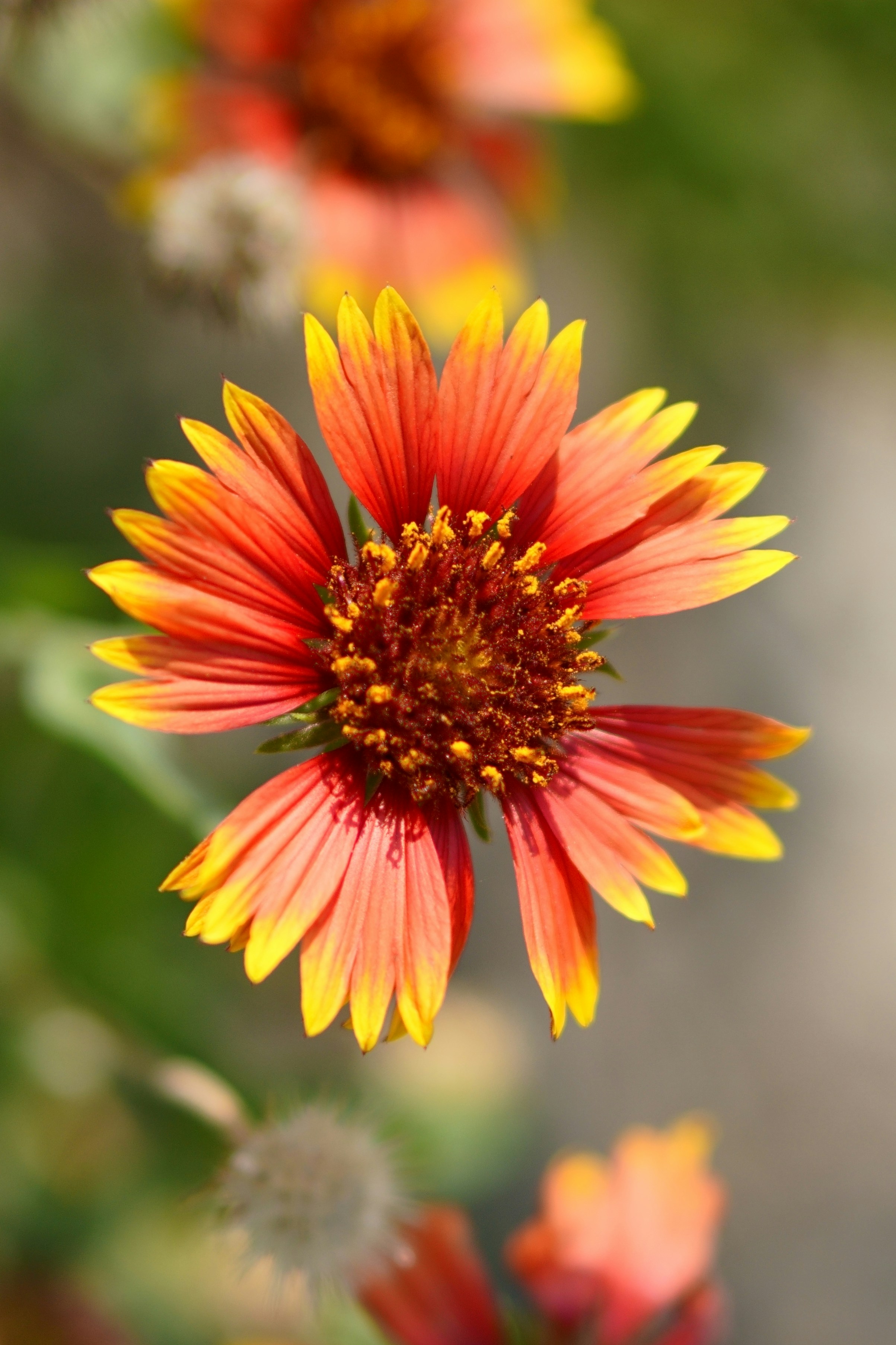 Photo by ashrafmohiuddin