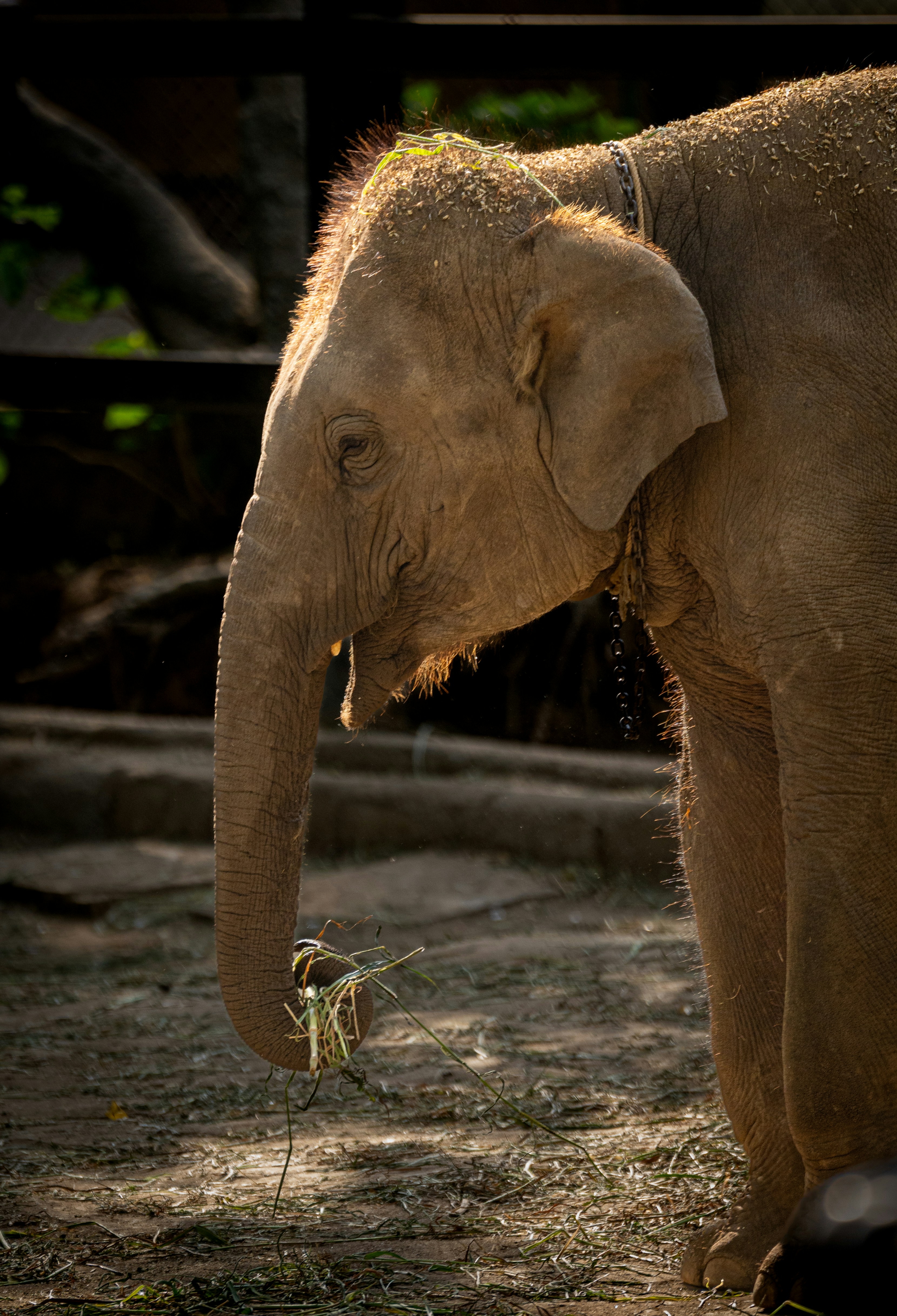 Photo by ashrafmohiuddin