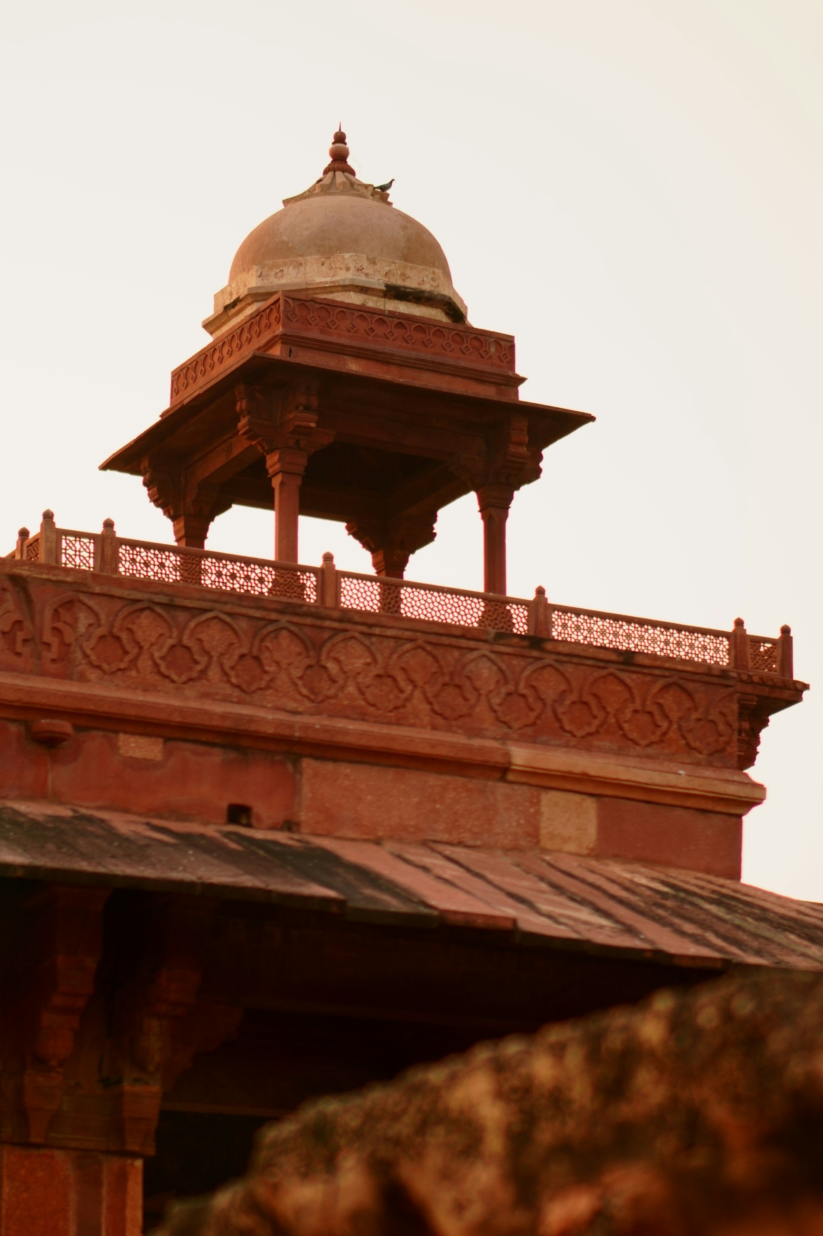 Photo by ashrafmohiuddin