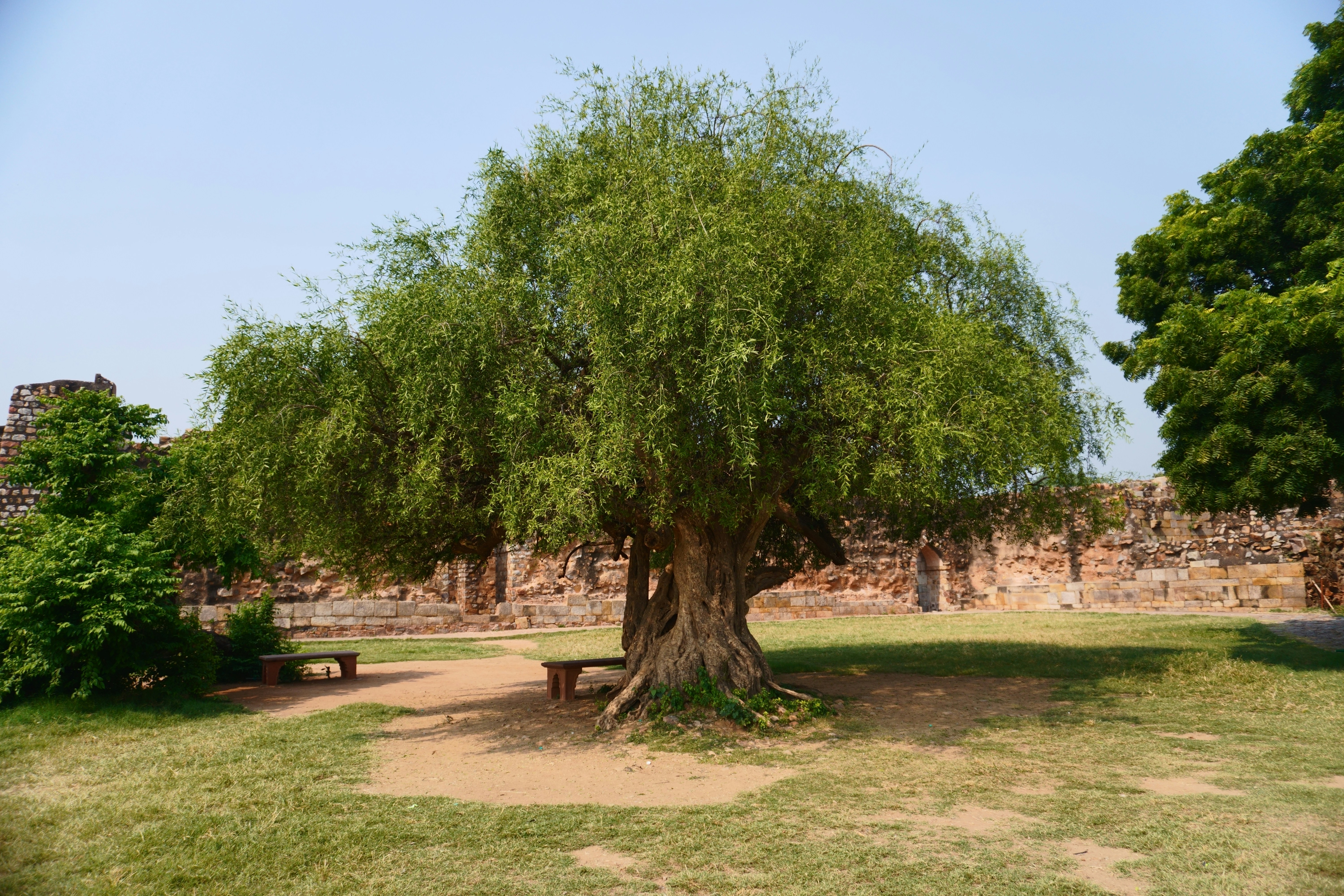 Photo by ashrafmohiuddin