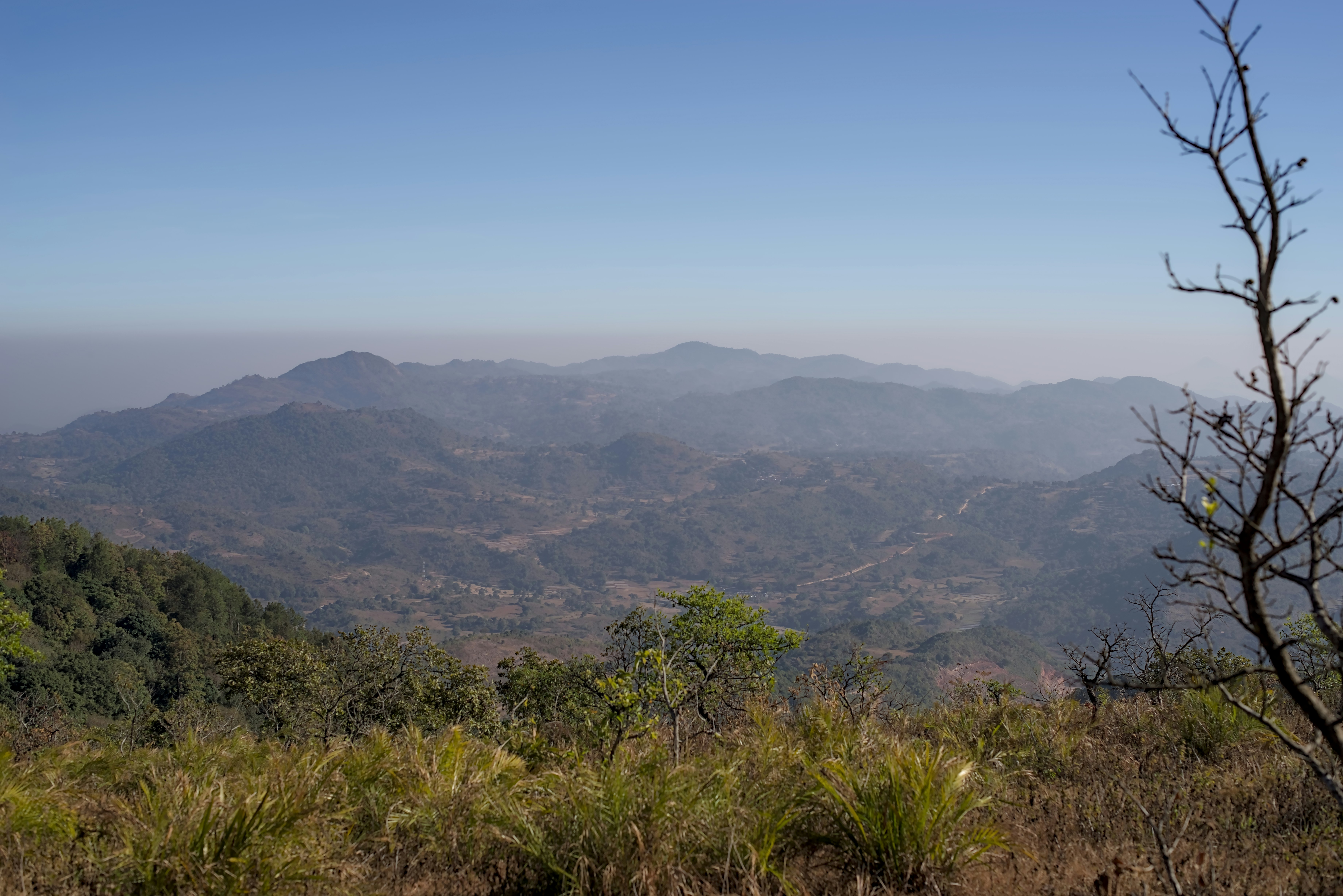 Photo by satishdharmavarapu