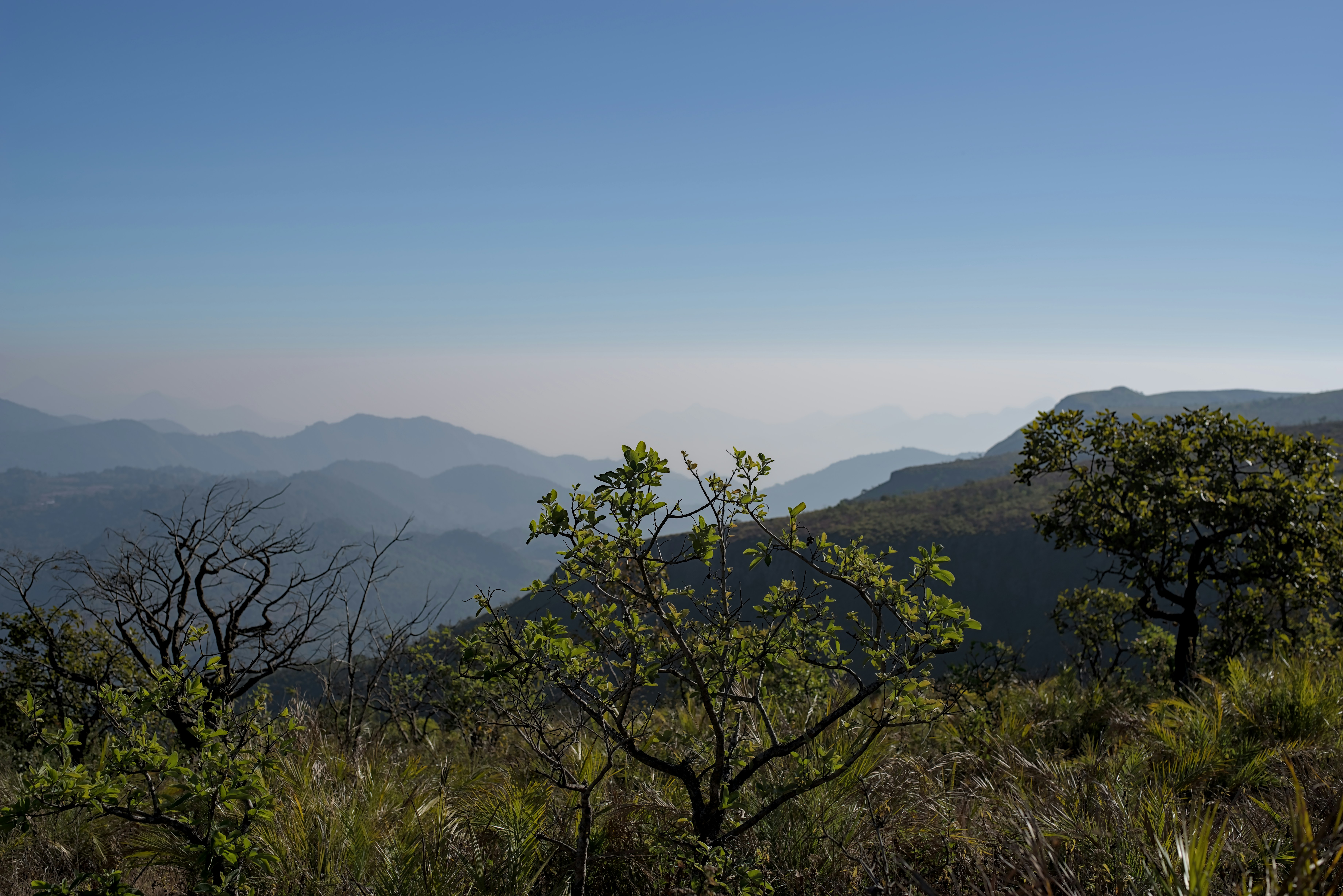 Photo by satishdharmavarapu