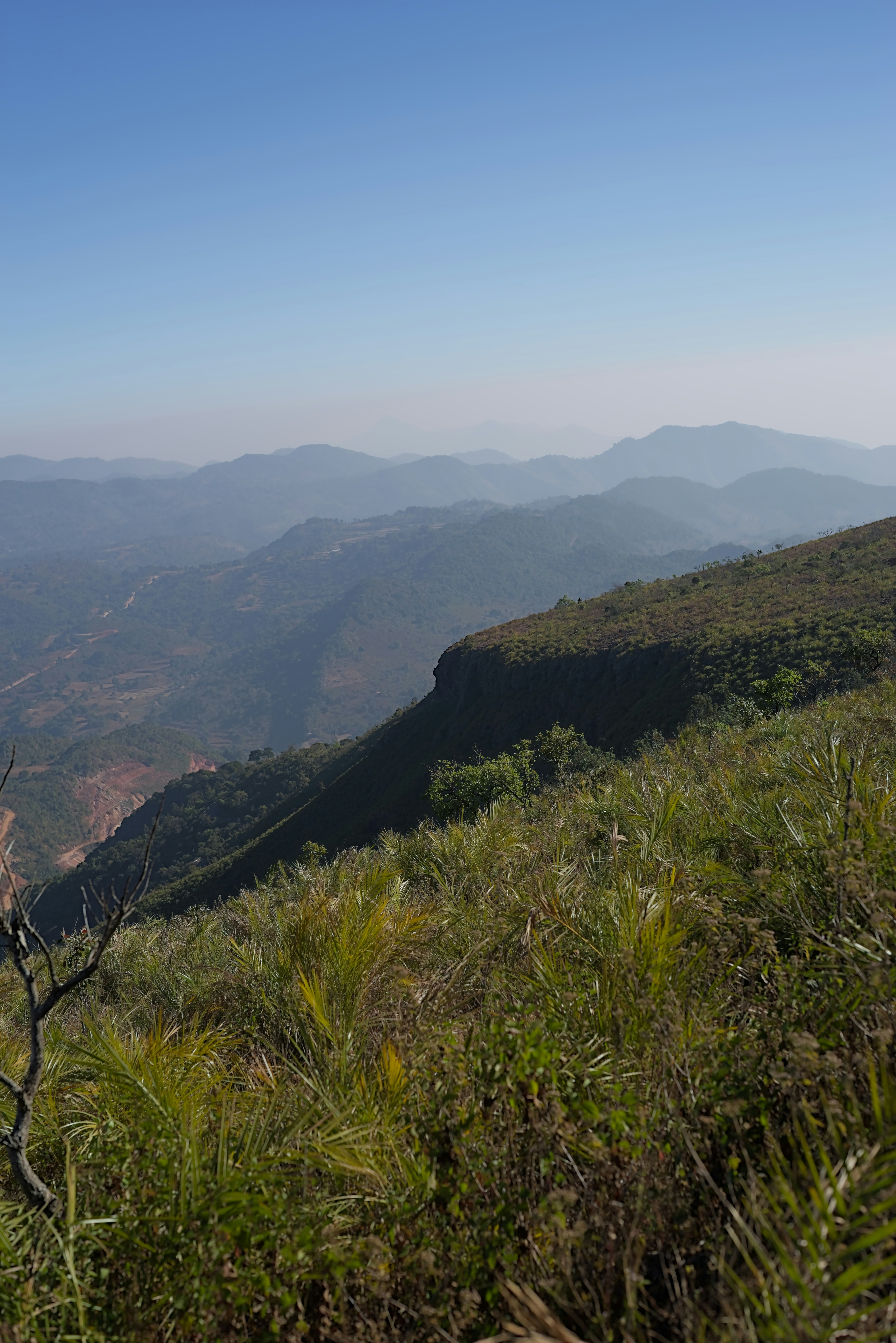 Photo by satishdharmavarapu