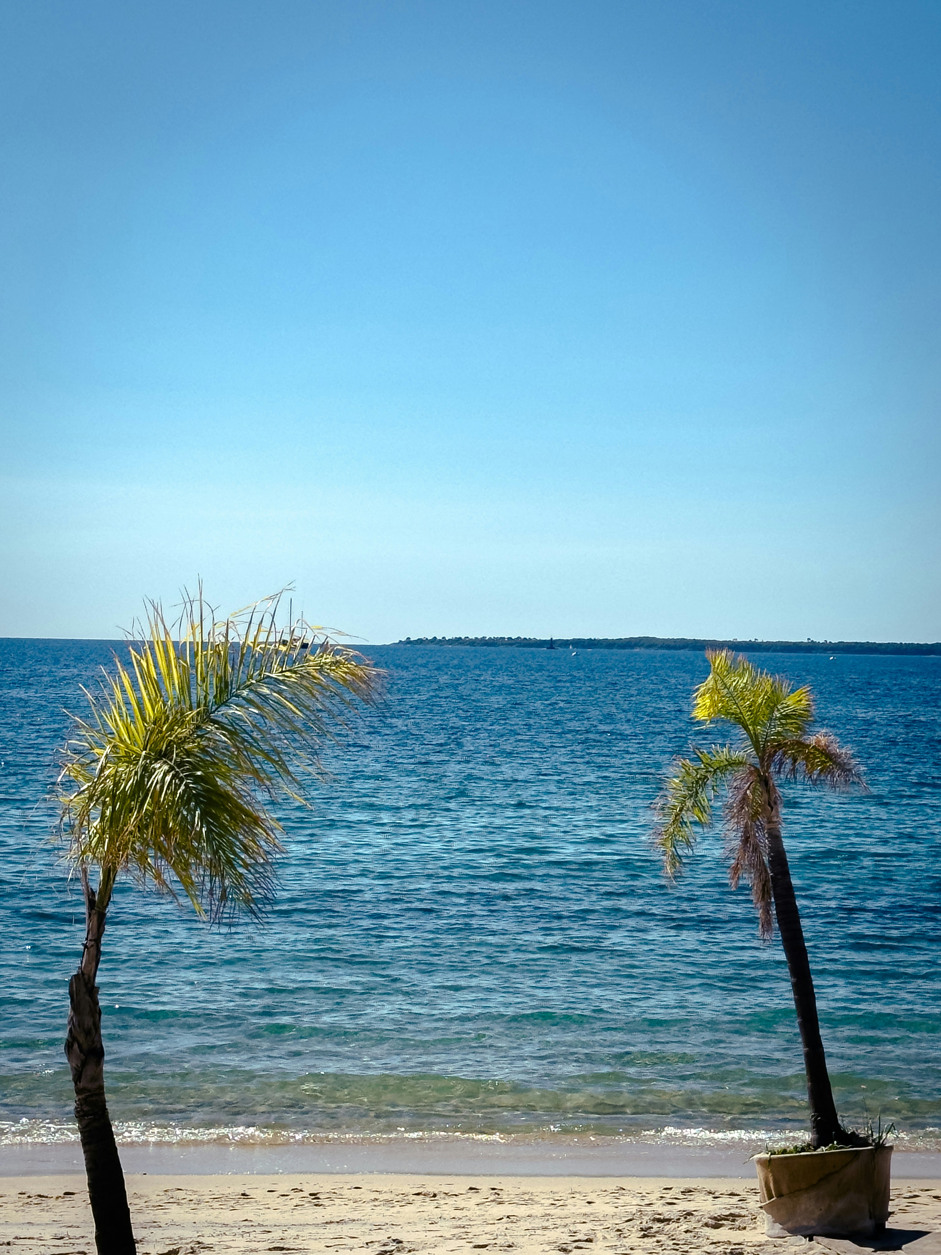 Photo by juhezzyjshoot