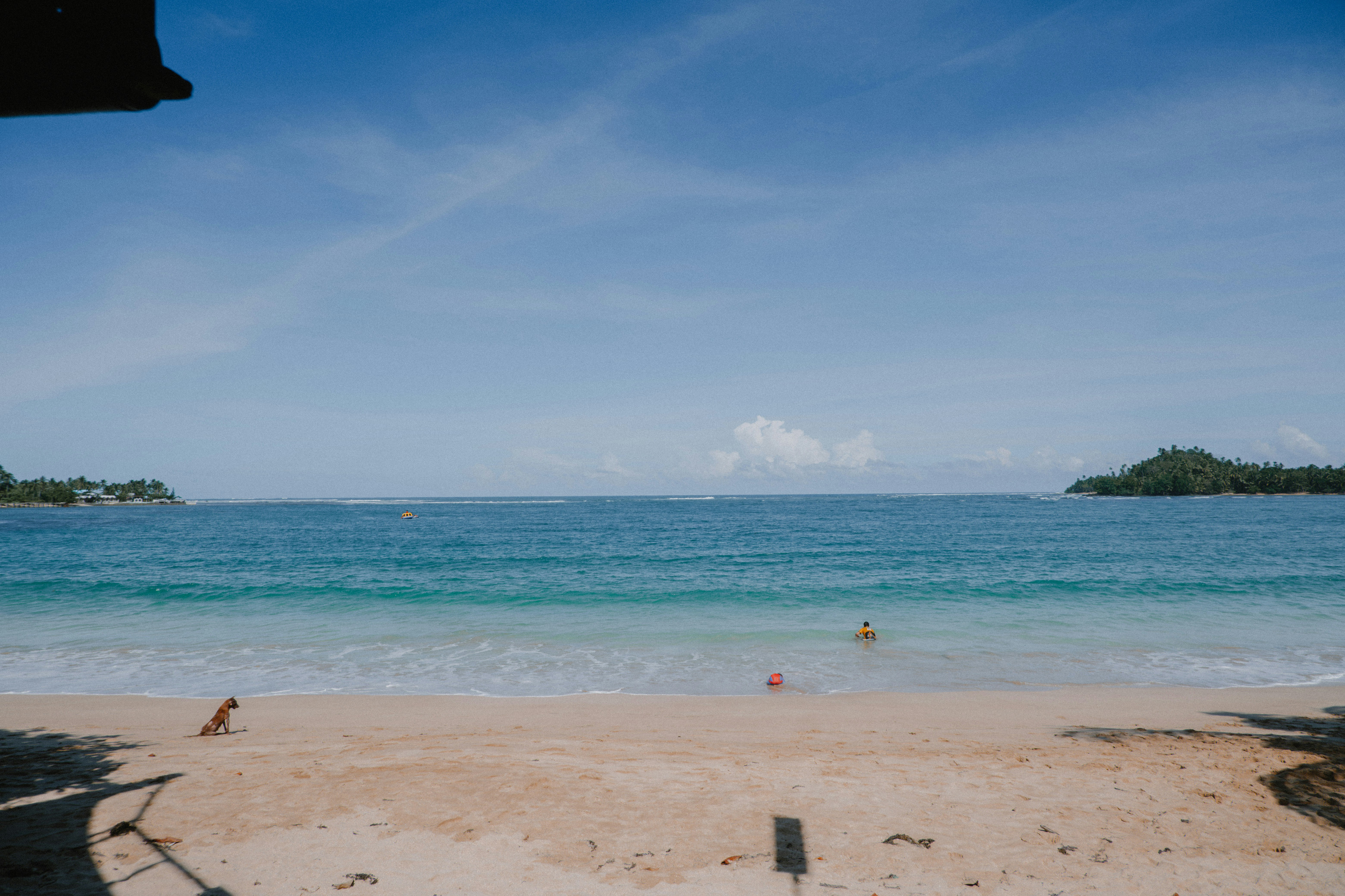 Persone che nuotano nell'oceano vicino a una spiaggia sabbiosa.