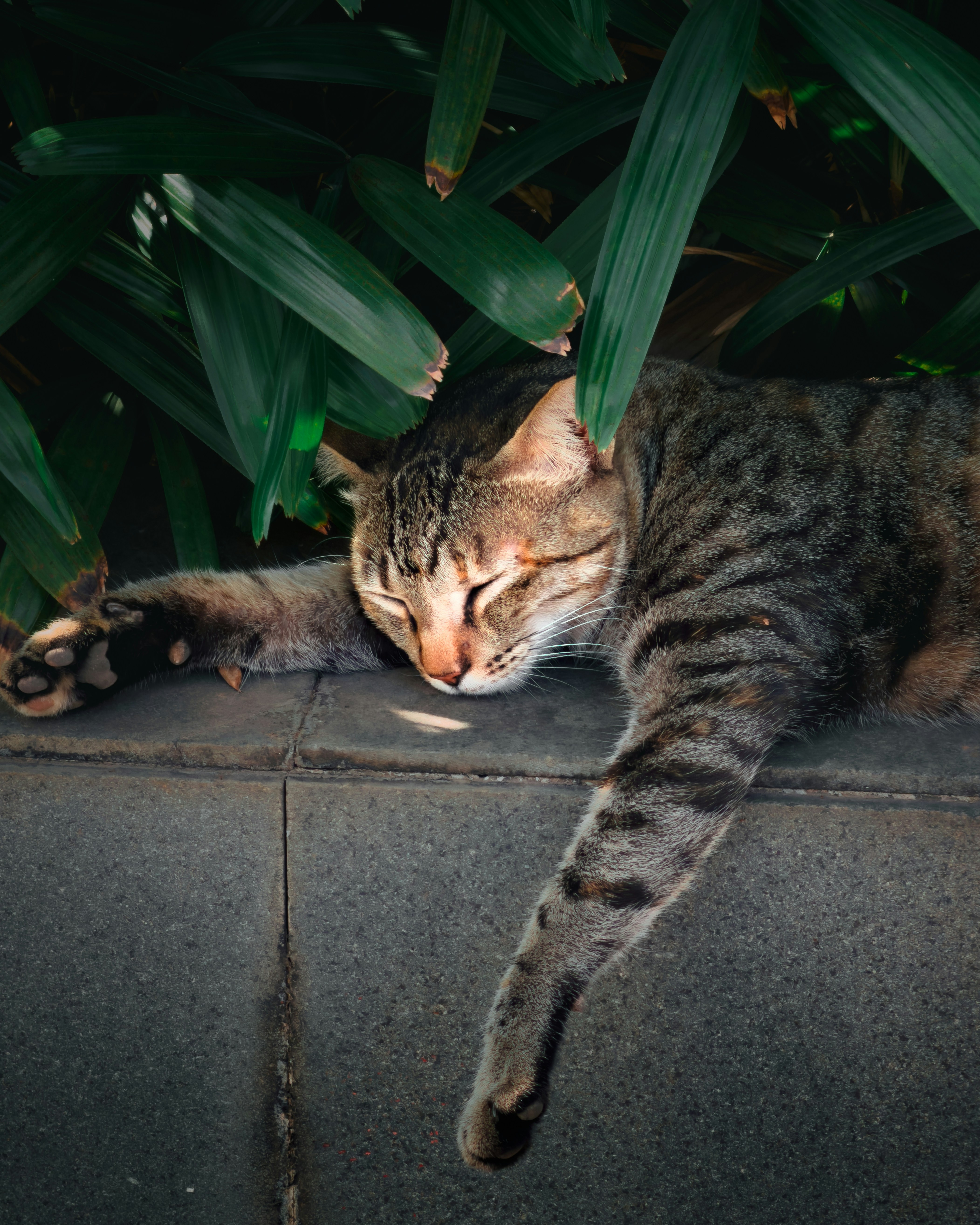 Photo by sandesh_nyk