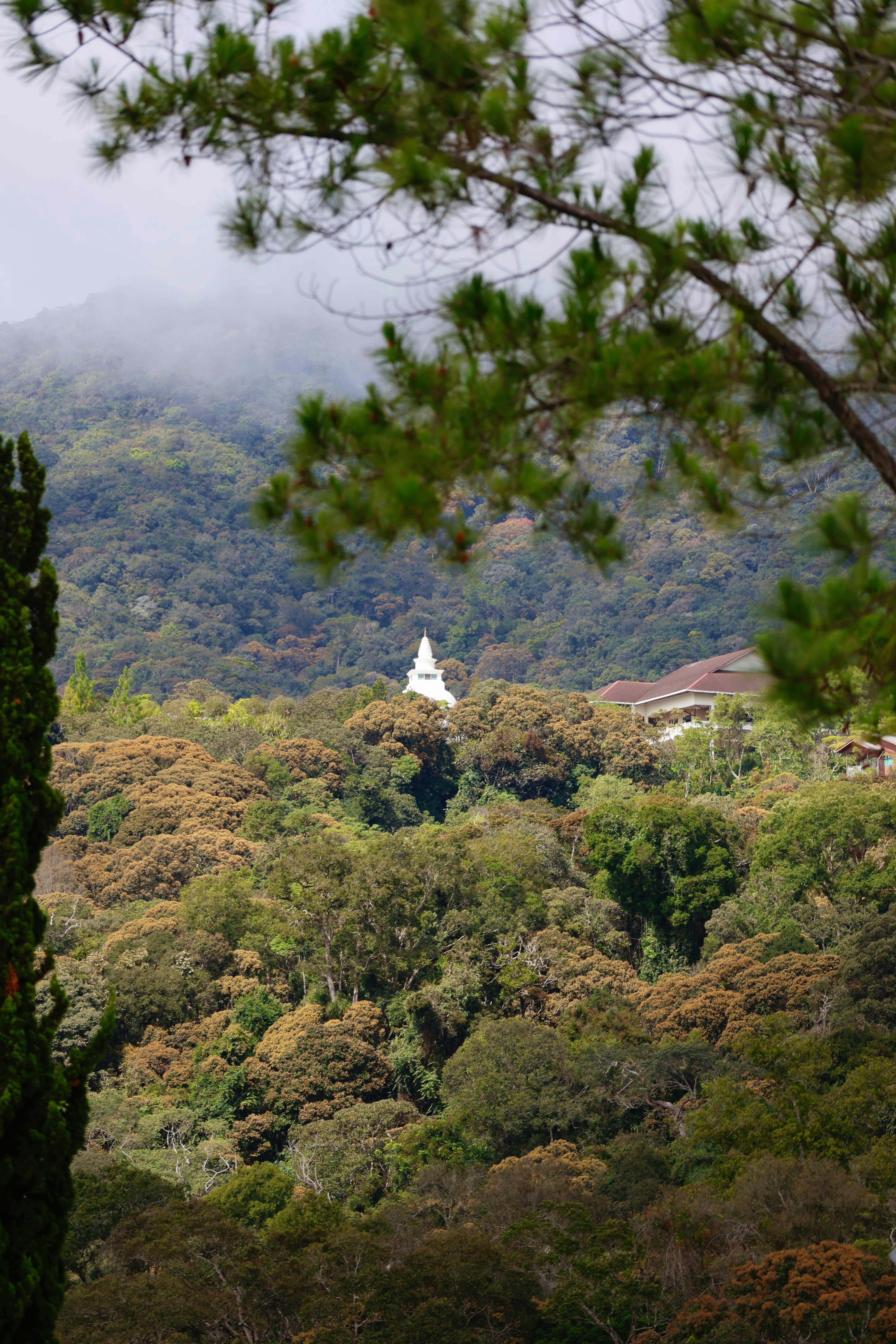 A serene meditation retreat in nature