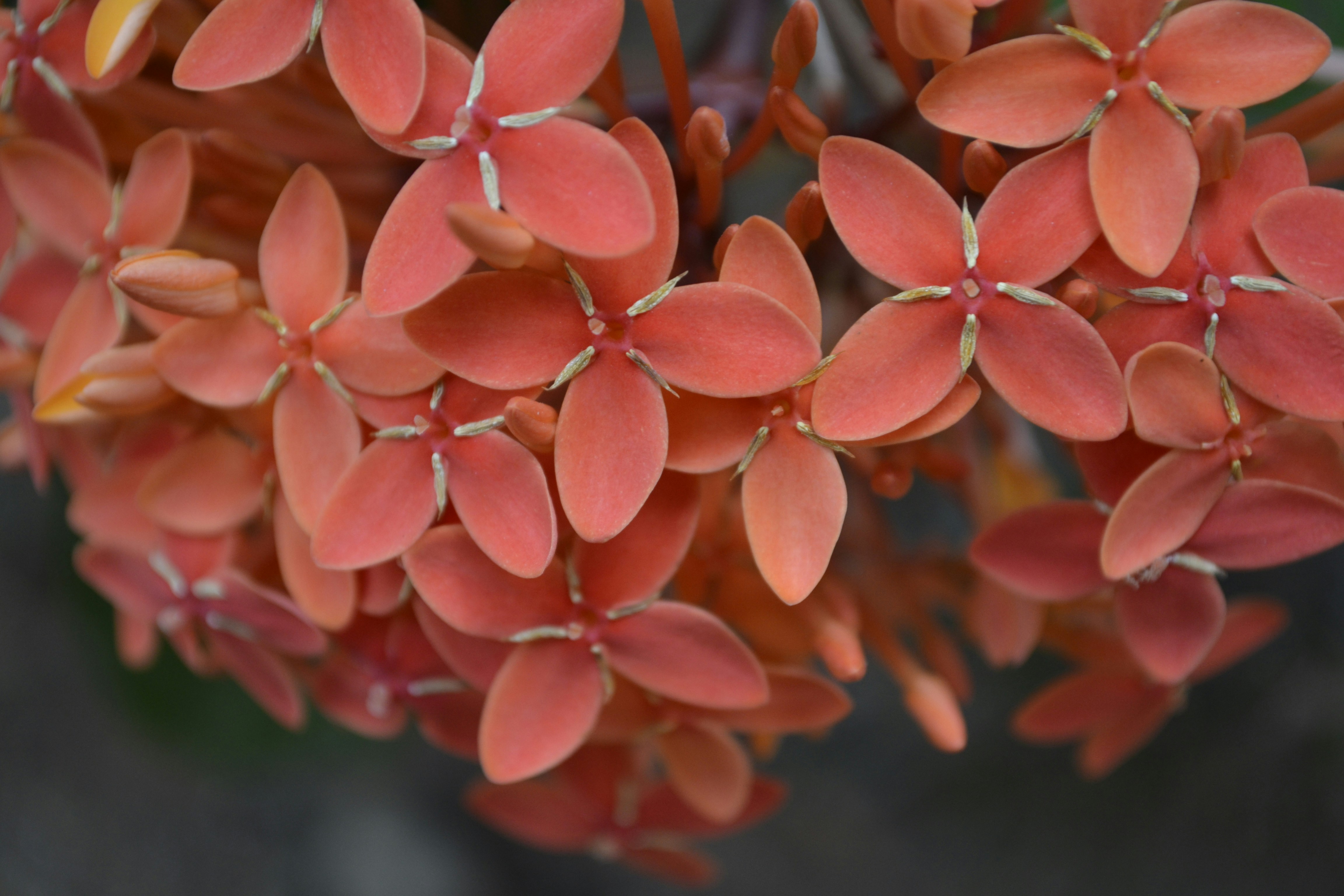 Photo by jibinsamuelphotography