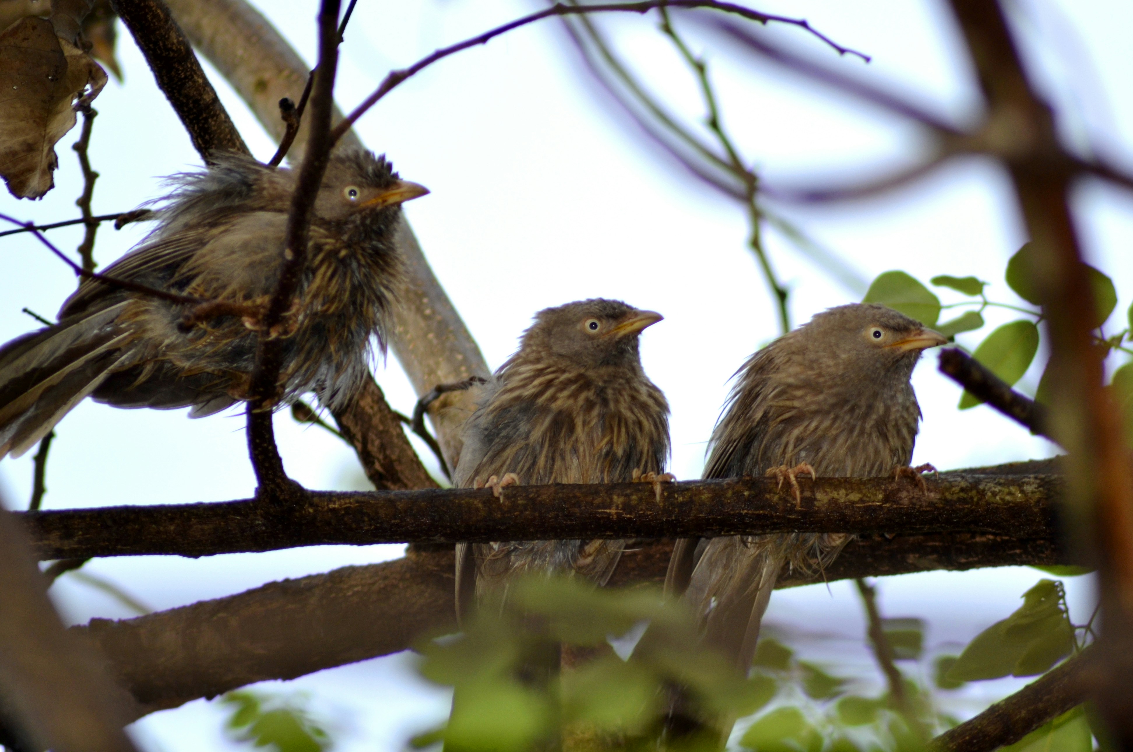 Photo by jibinsamuelphotography