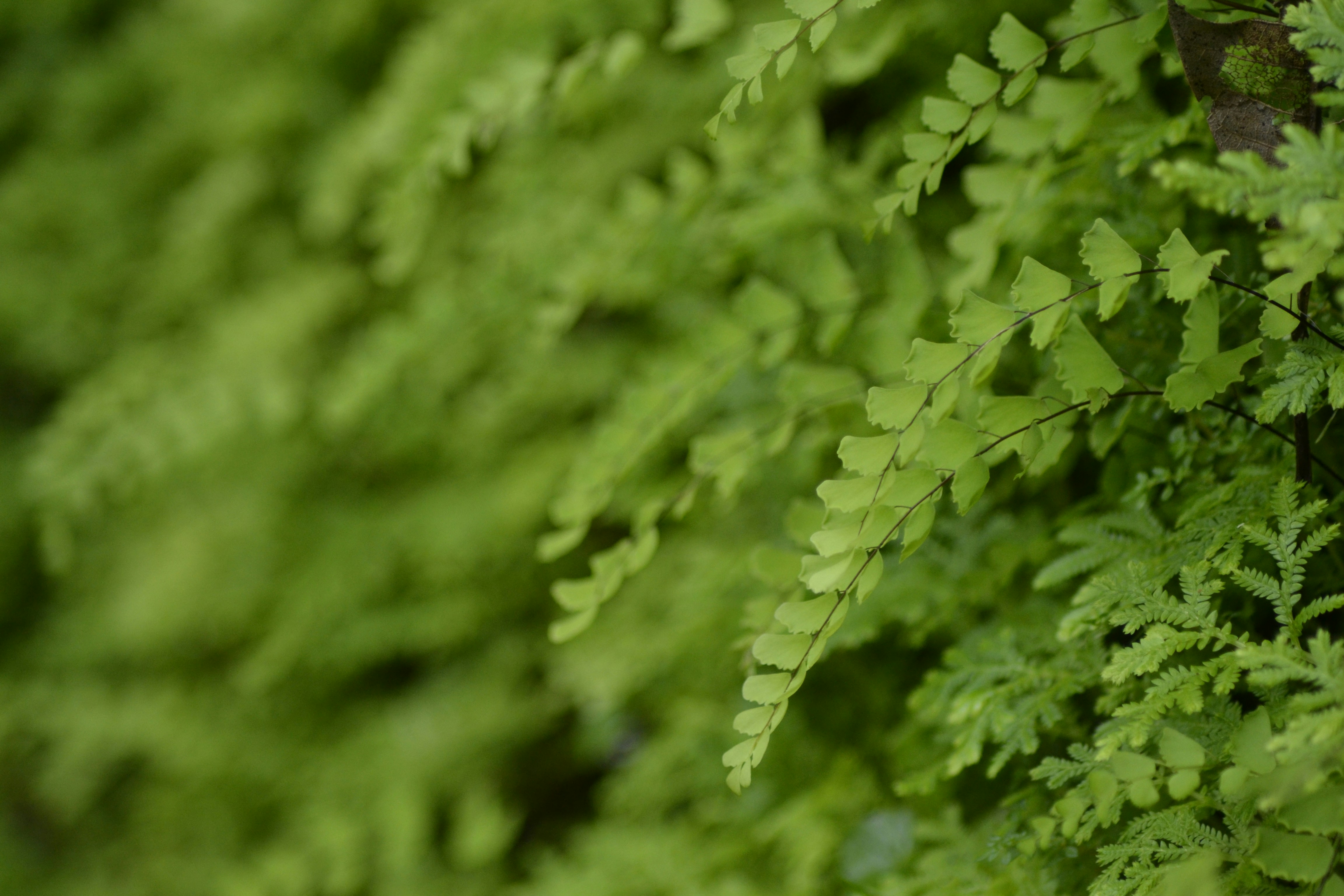 Photo by jibinsamuelphotography