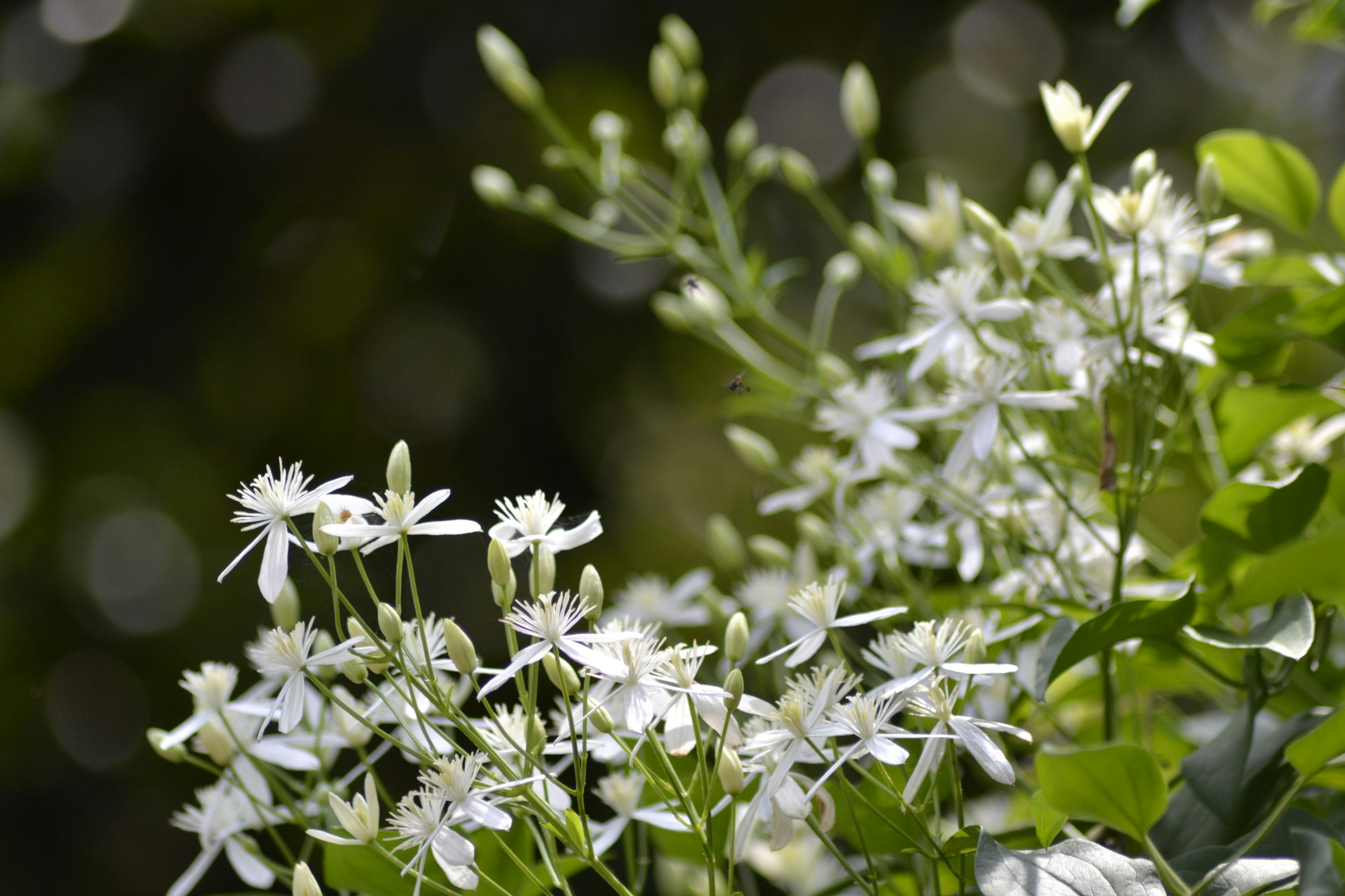 Photo by jibinsamuelphotography