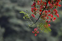 Must Visit Landmarks in Pathanamthitta and the Stories Behind Them