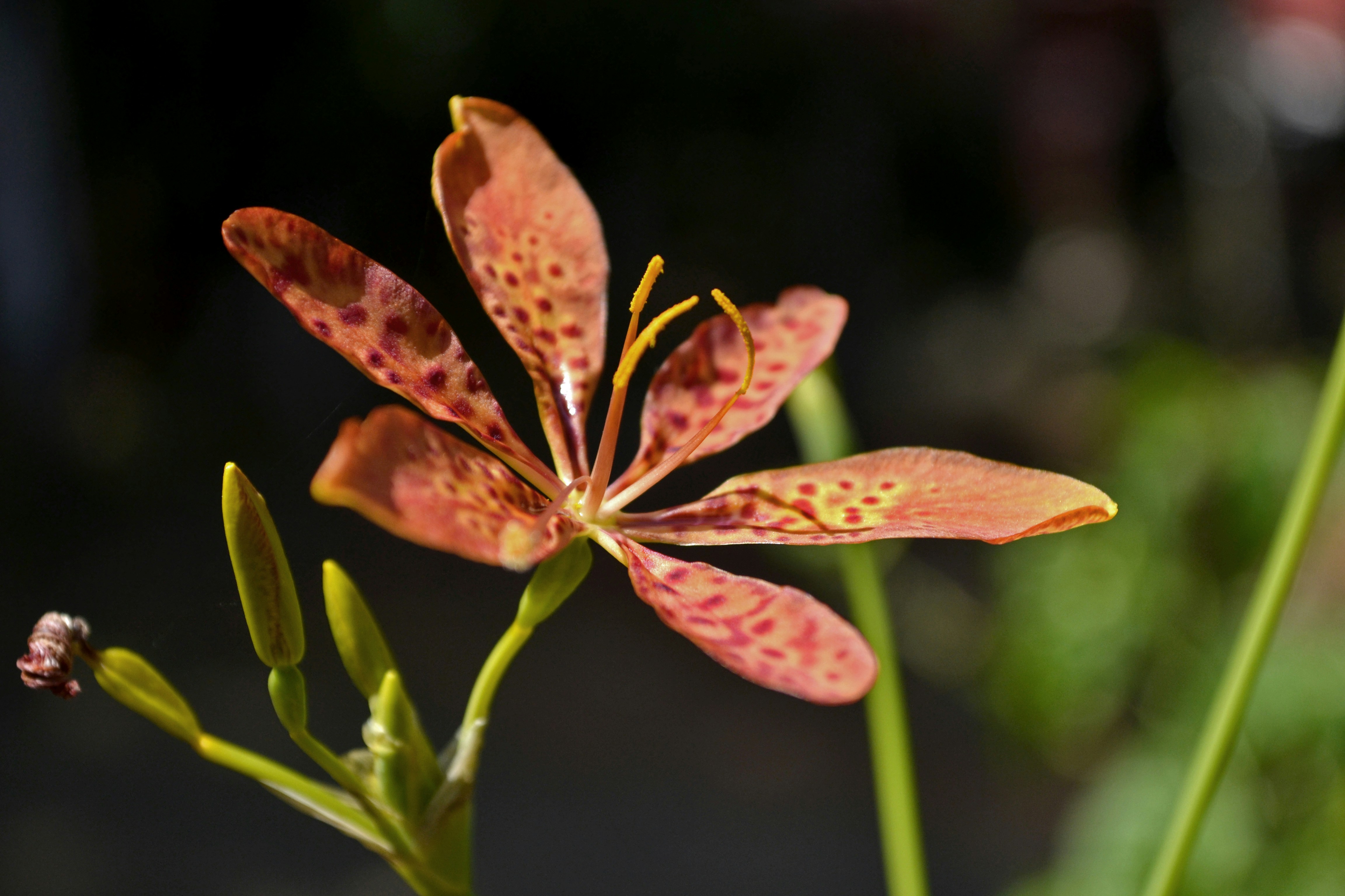 Photo by jibinsamuelphotography