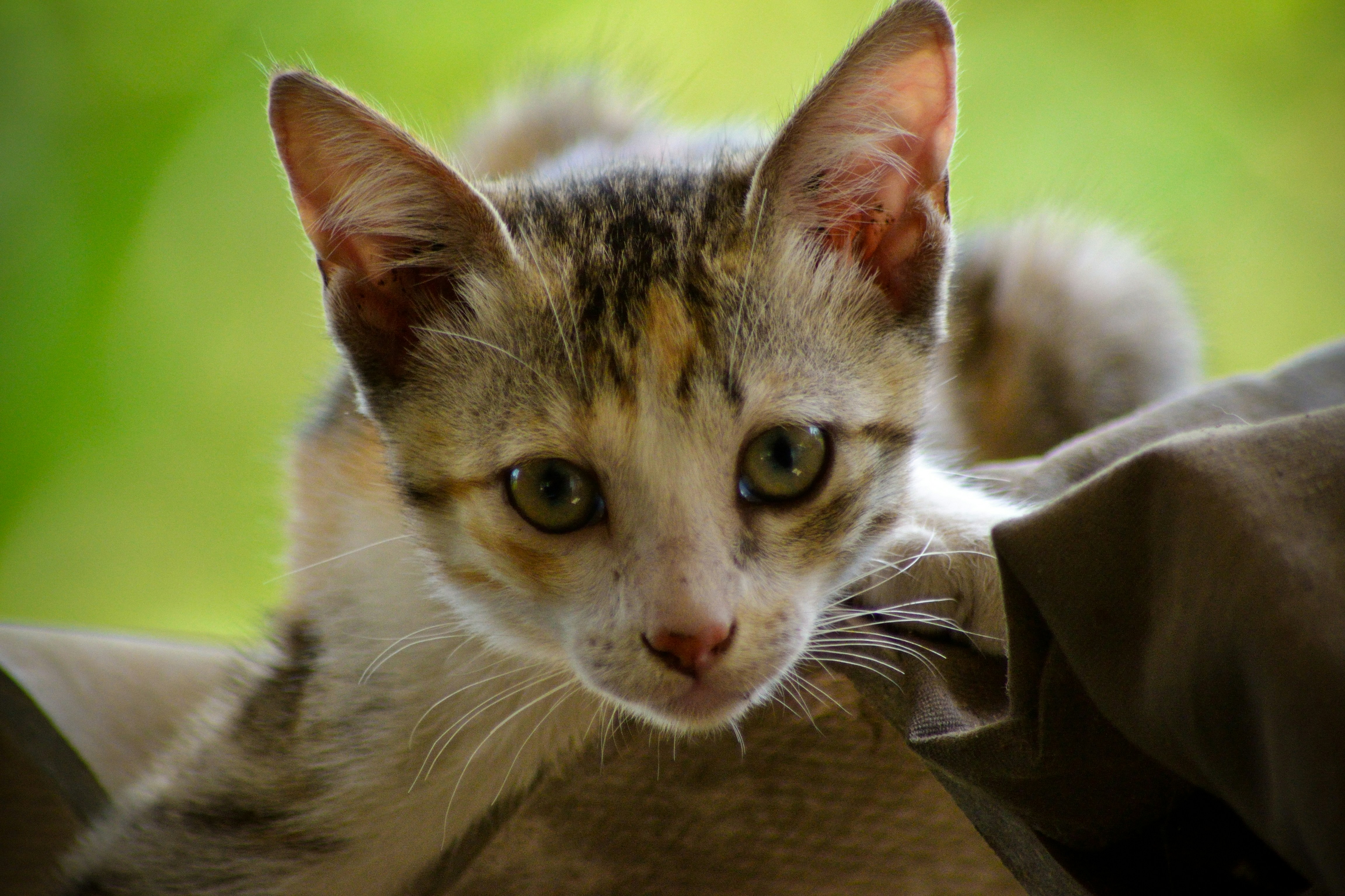 Photo by jibinsamuelphotography