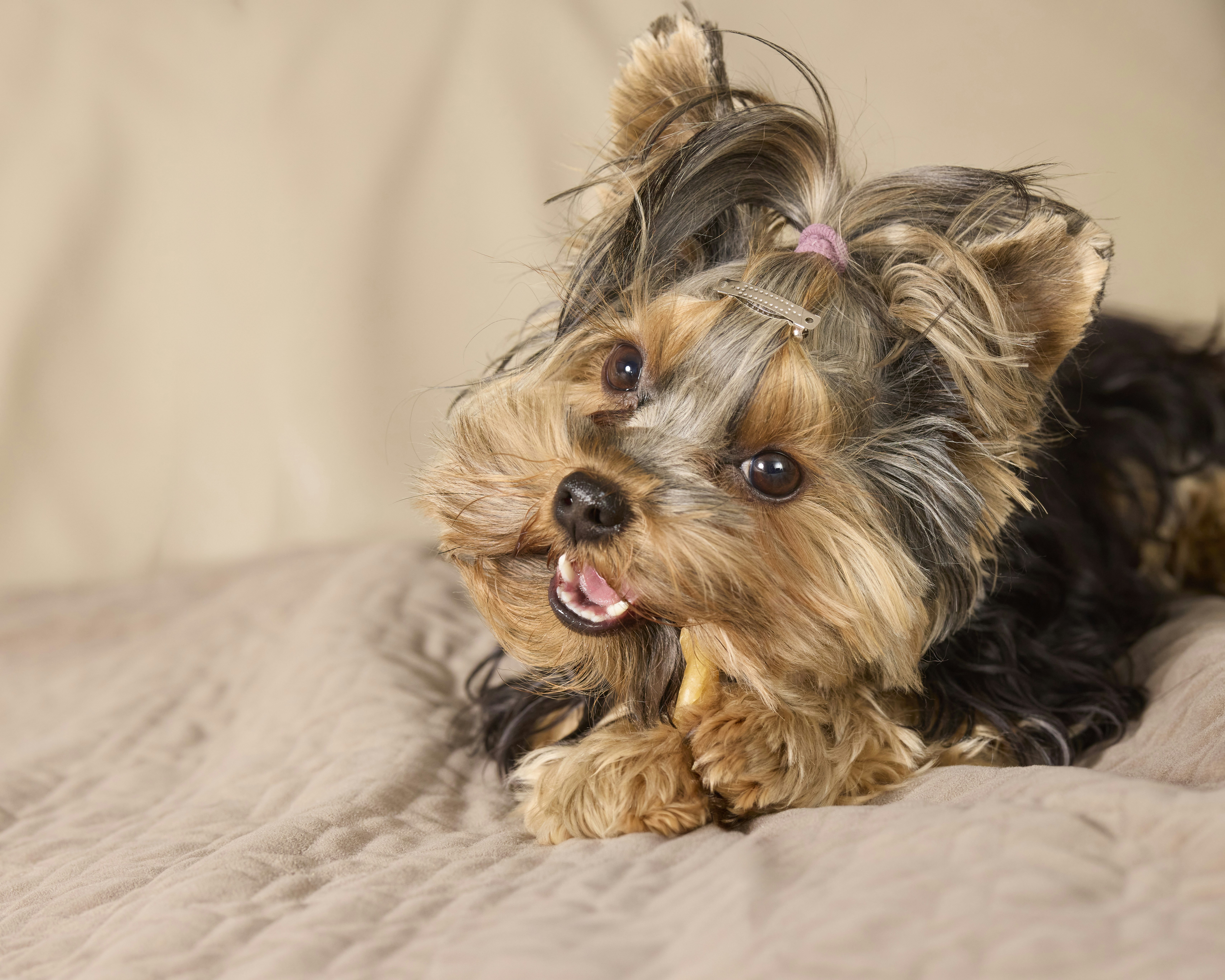 Photo by erwinbosman