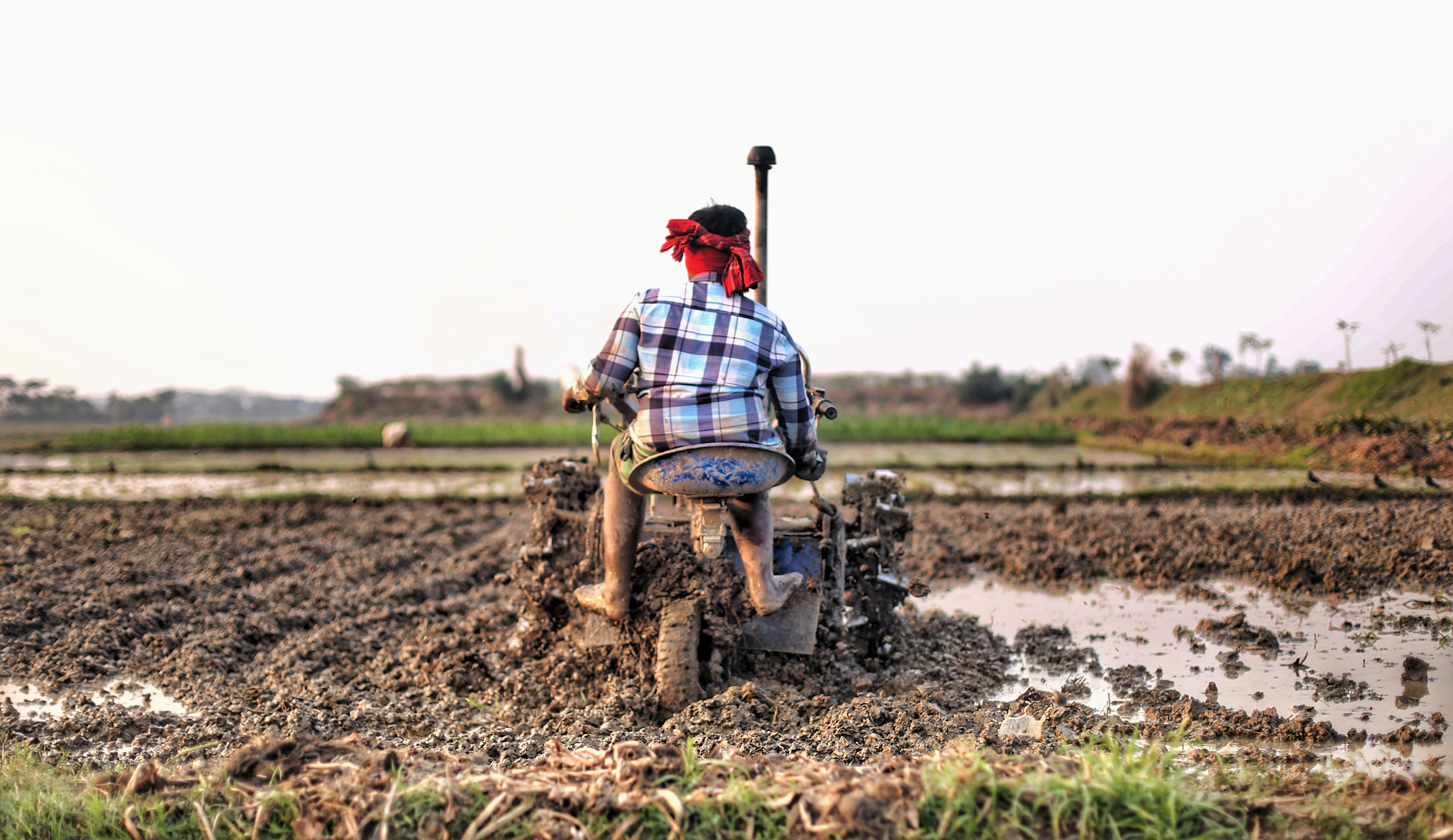 Farmer plowing muddy field with a tiller
