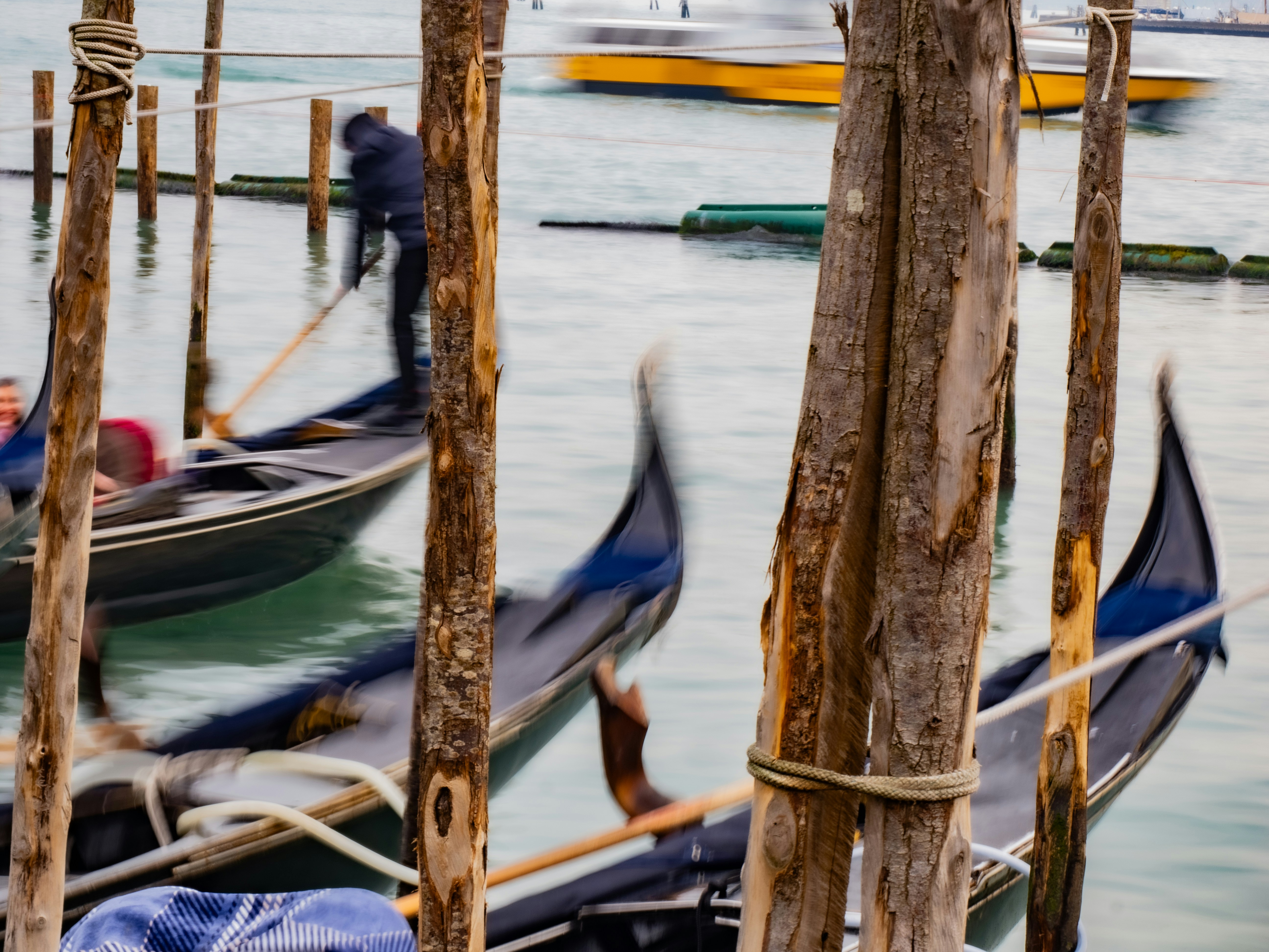 Photo by gopitri_prem