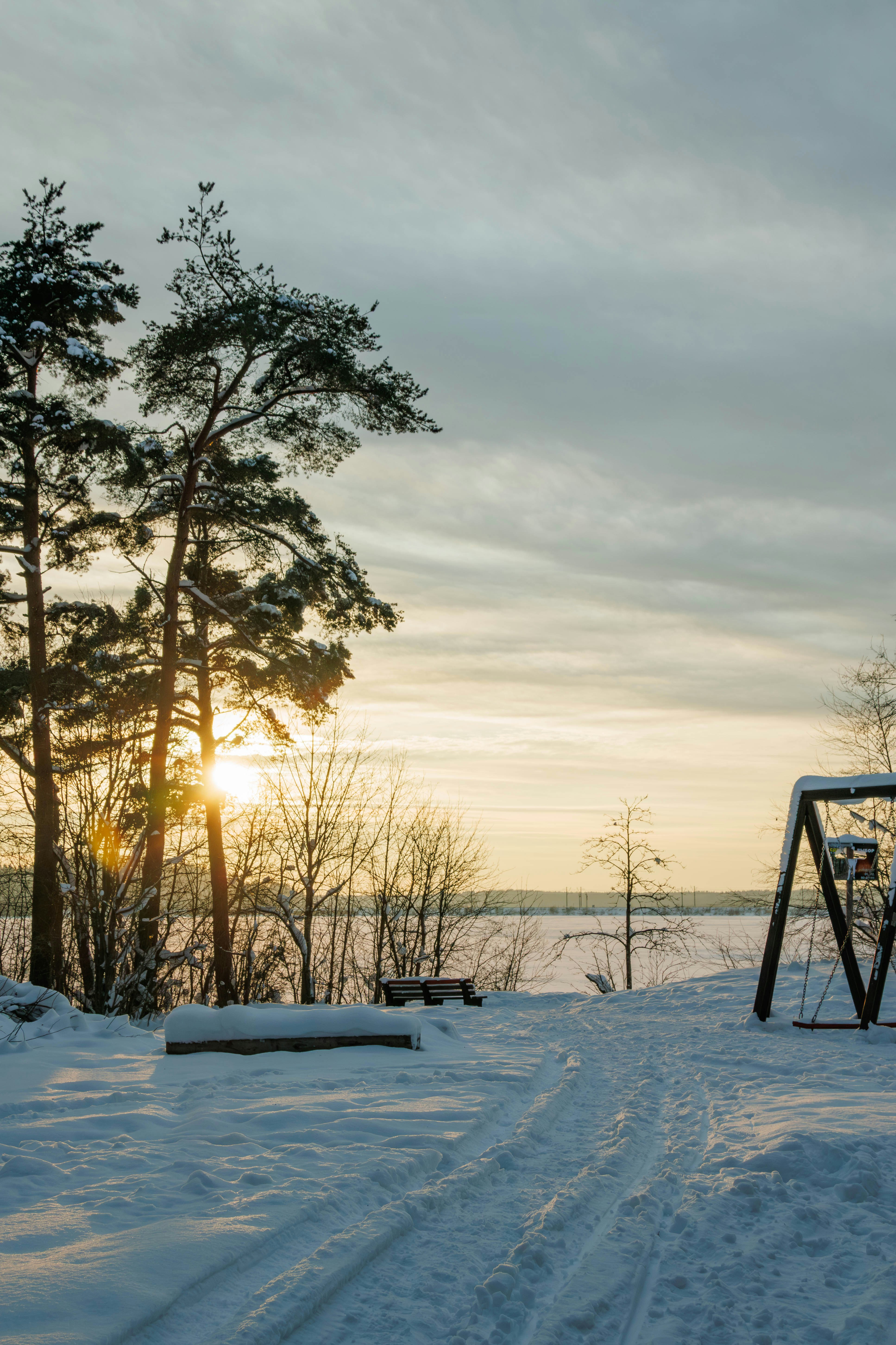 Winter park with snow-covered trees and a swing set.