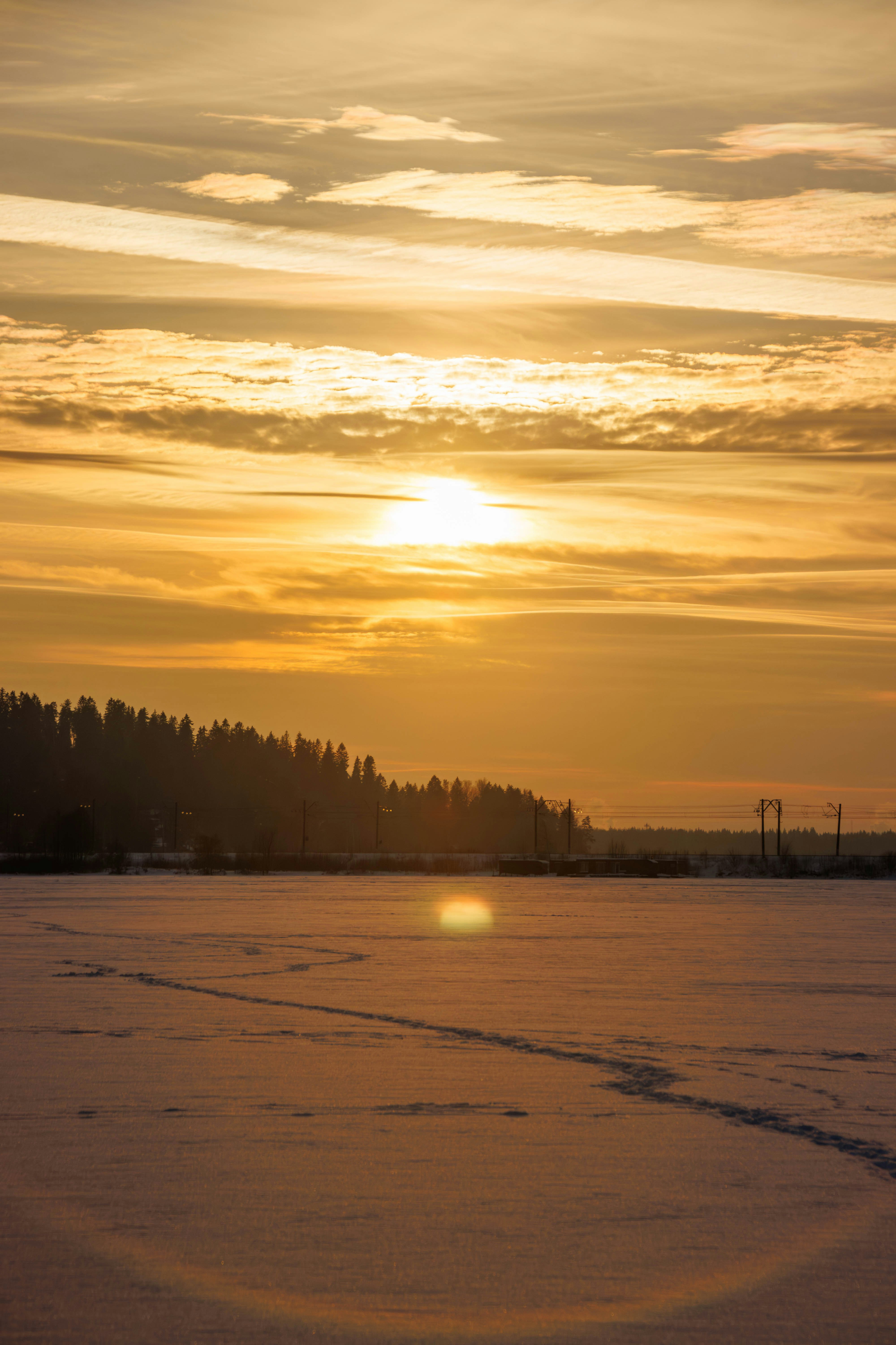 Golden sunset over a snow-covered landscape with trees.