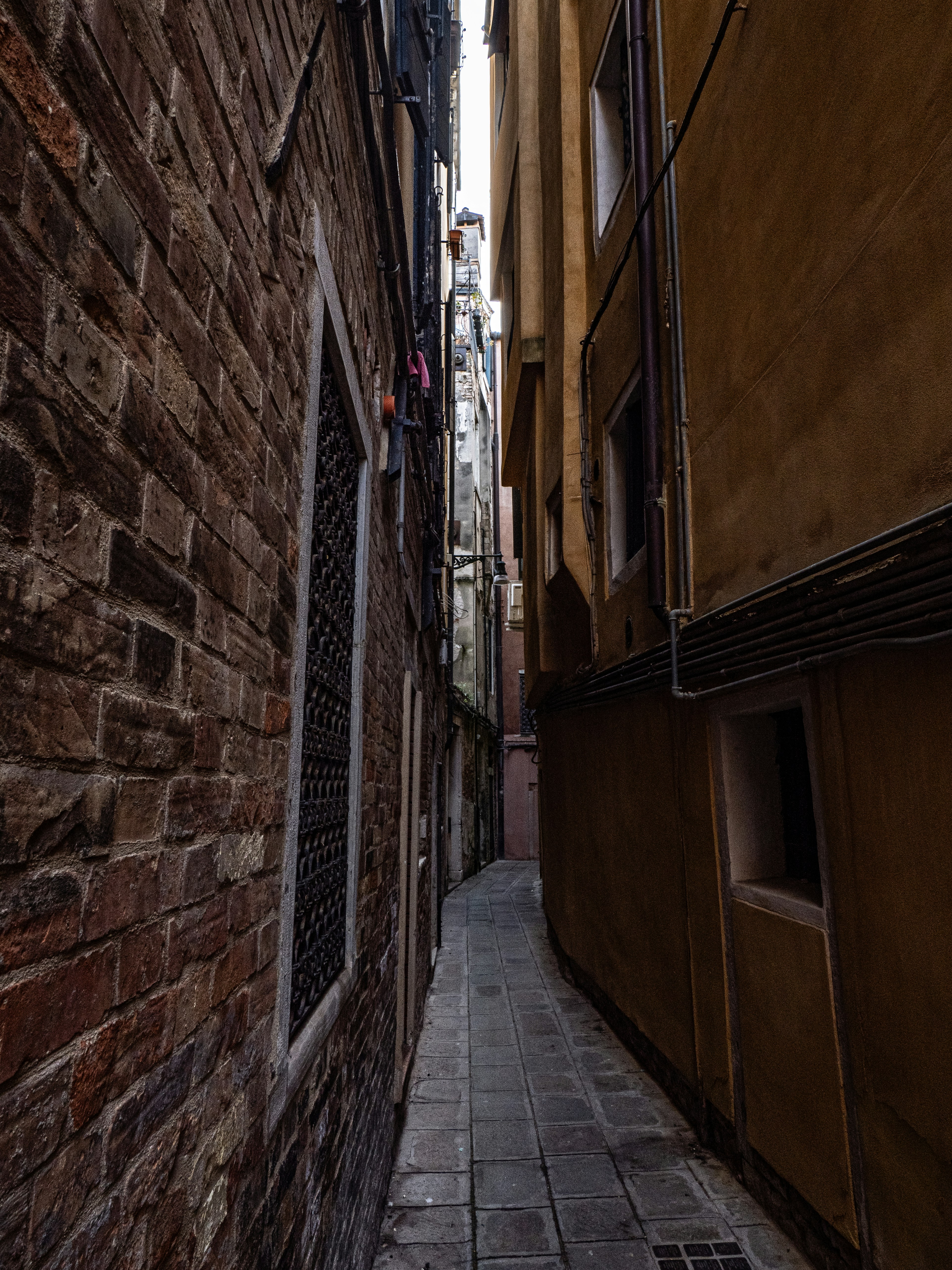 Photo by gopitri_prem