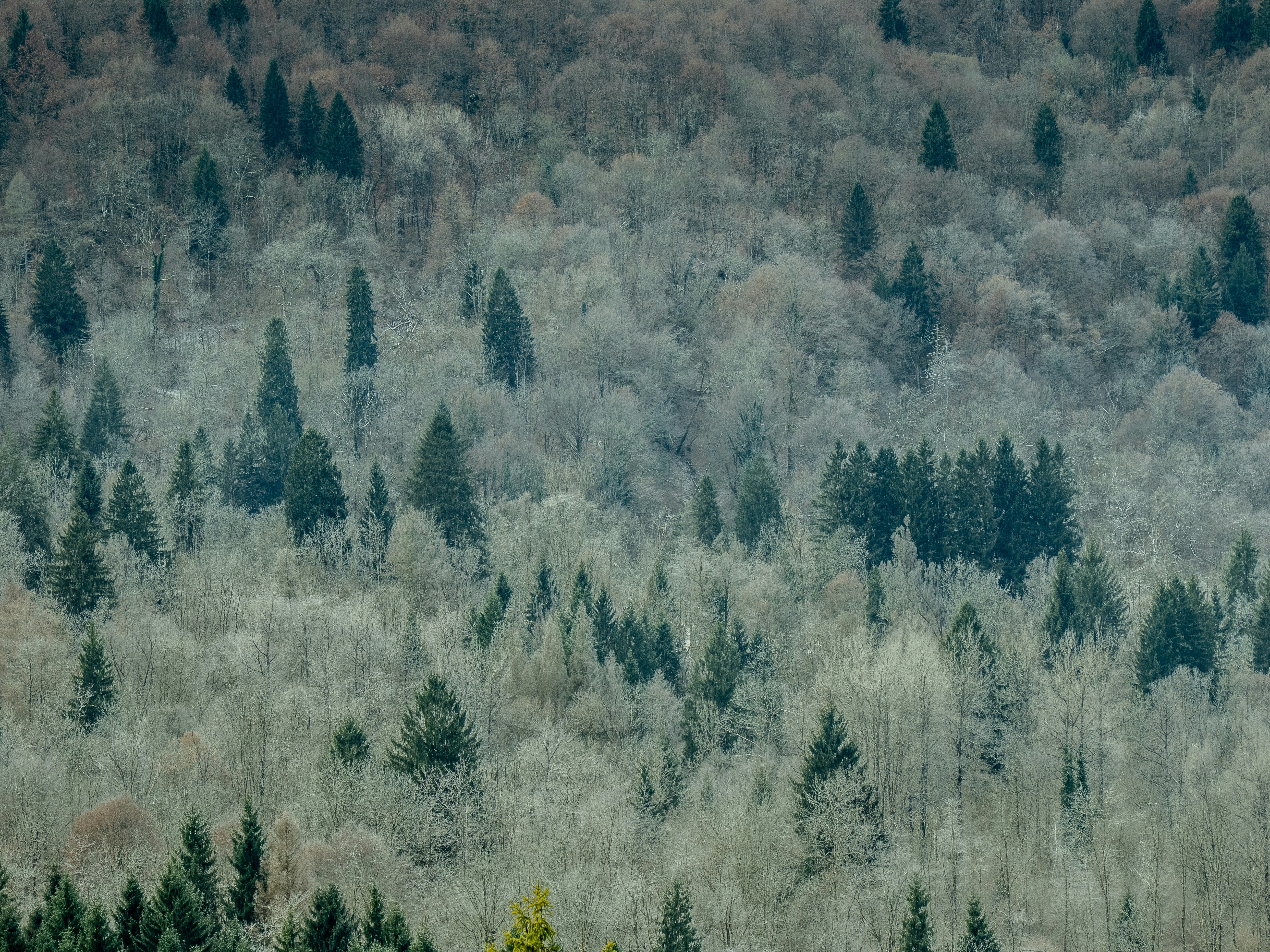 Photo by gopitri_prem