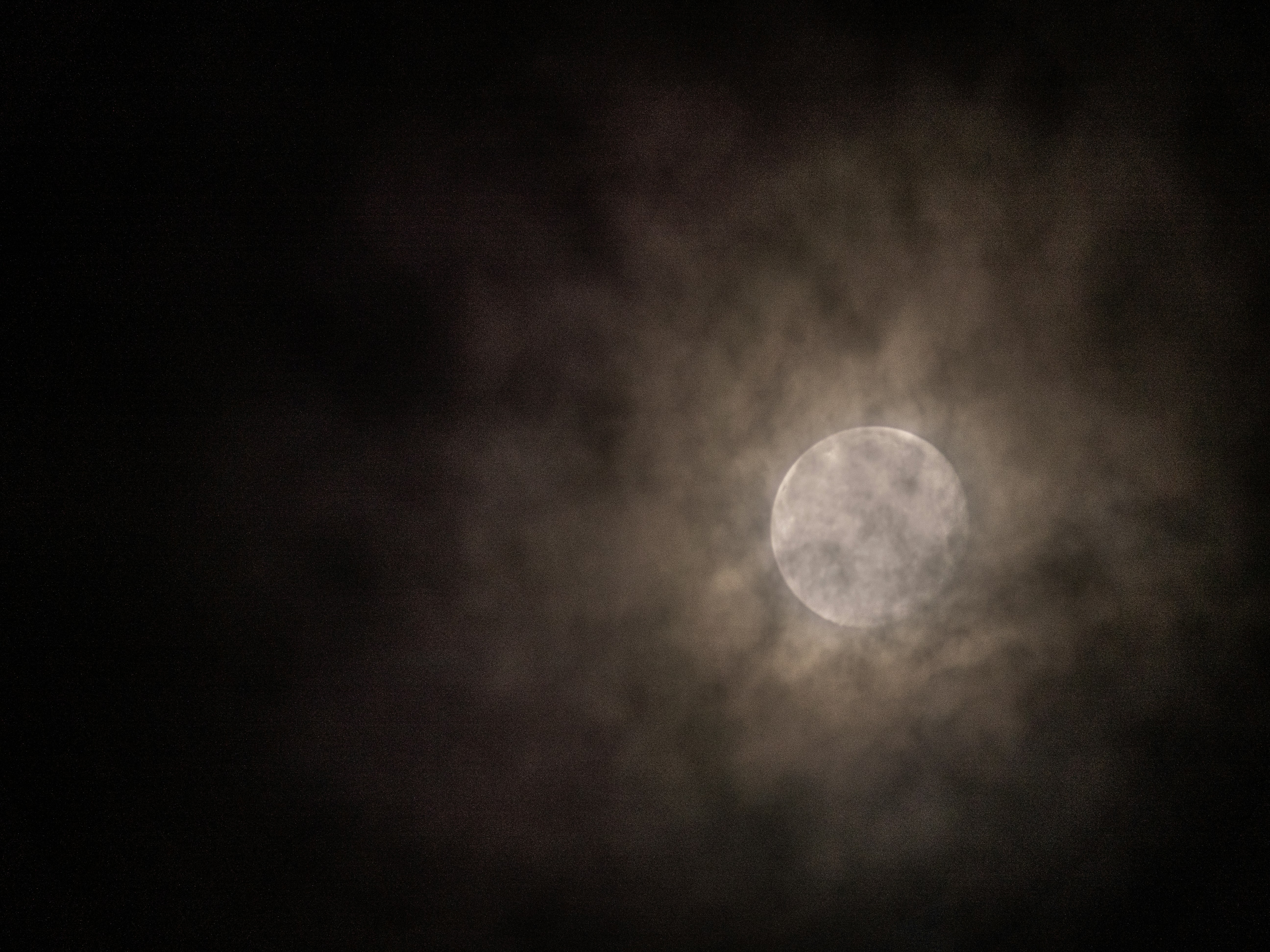 Photo by gopitri_prem