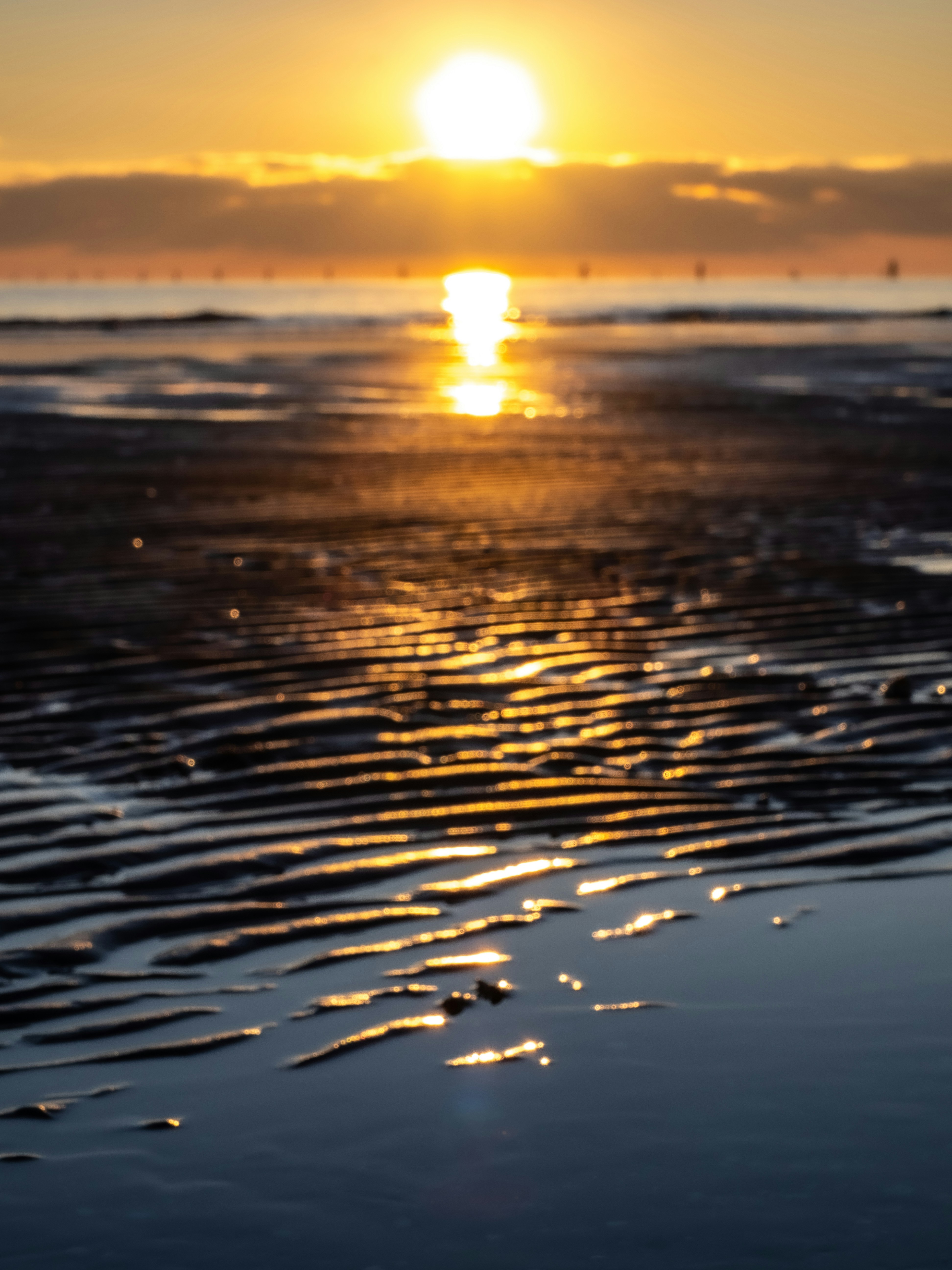 Photo by gopitri_prem