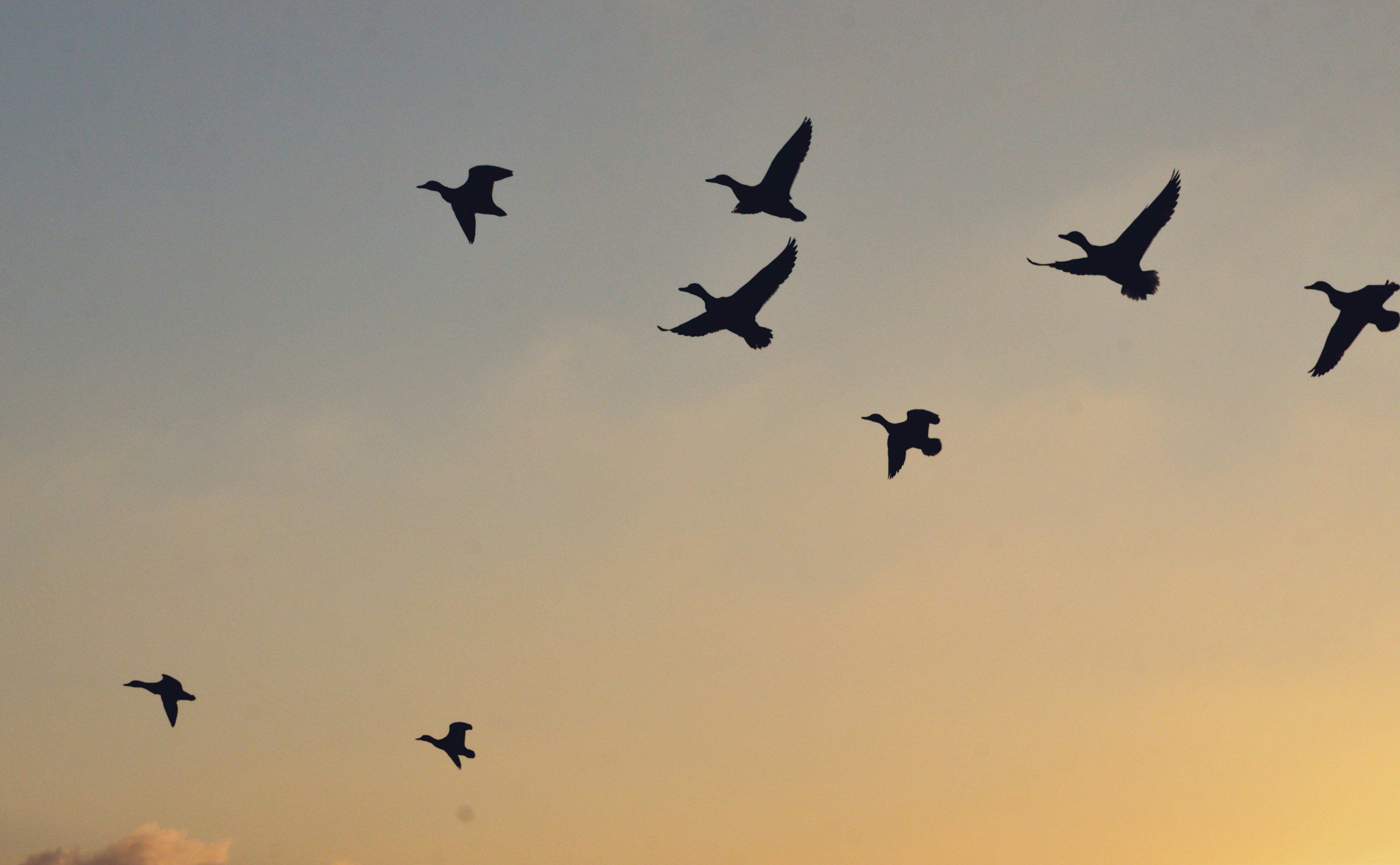 Photo by cherstve_pechivo