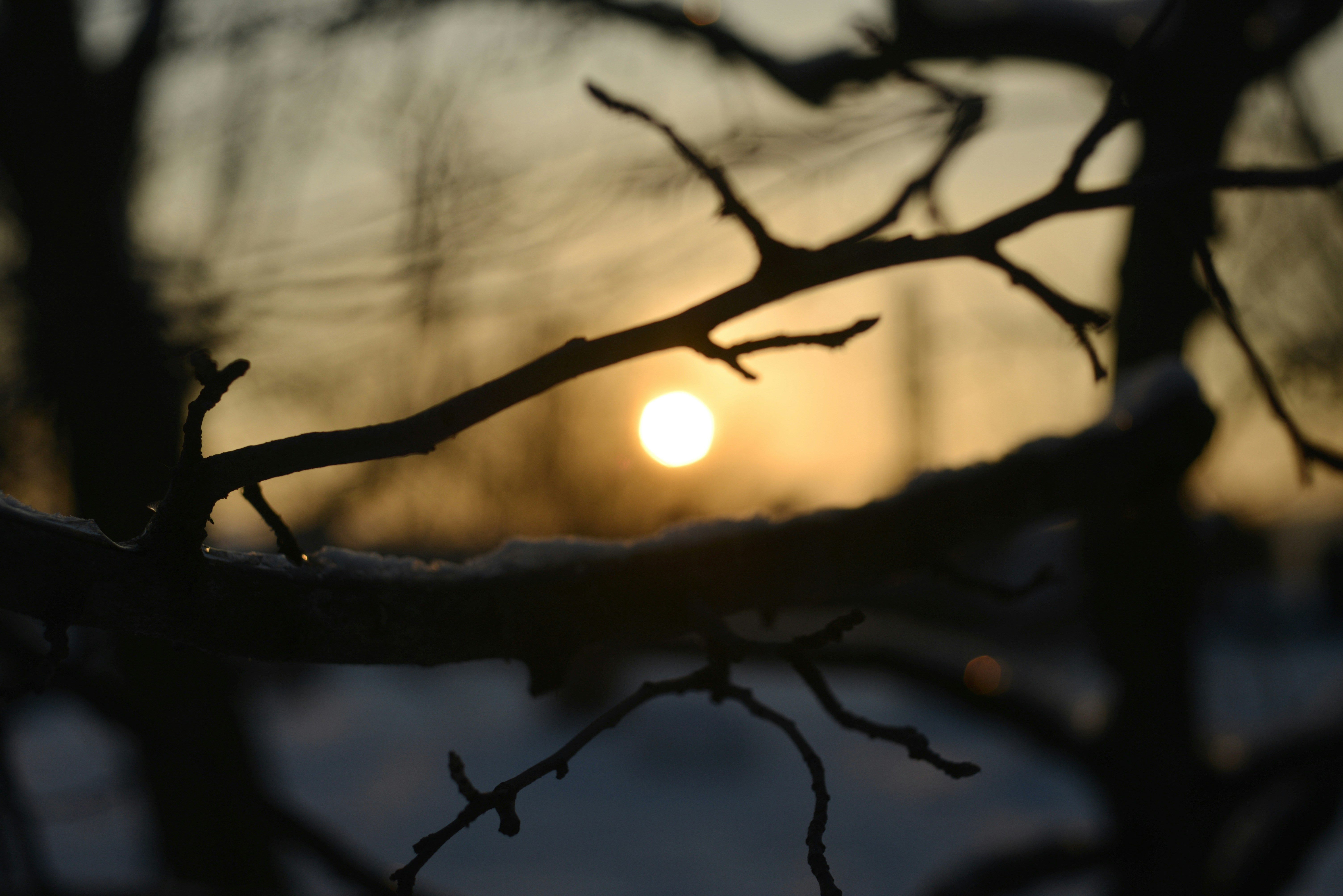 Photo by cherstve_pechivo