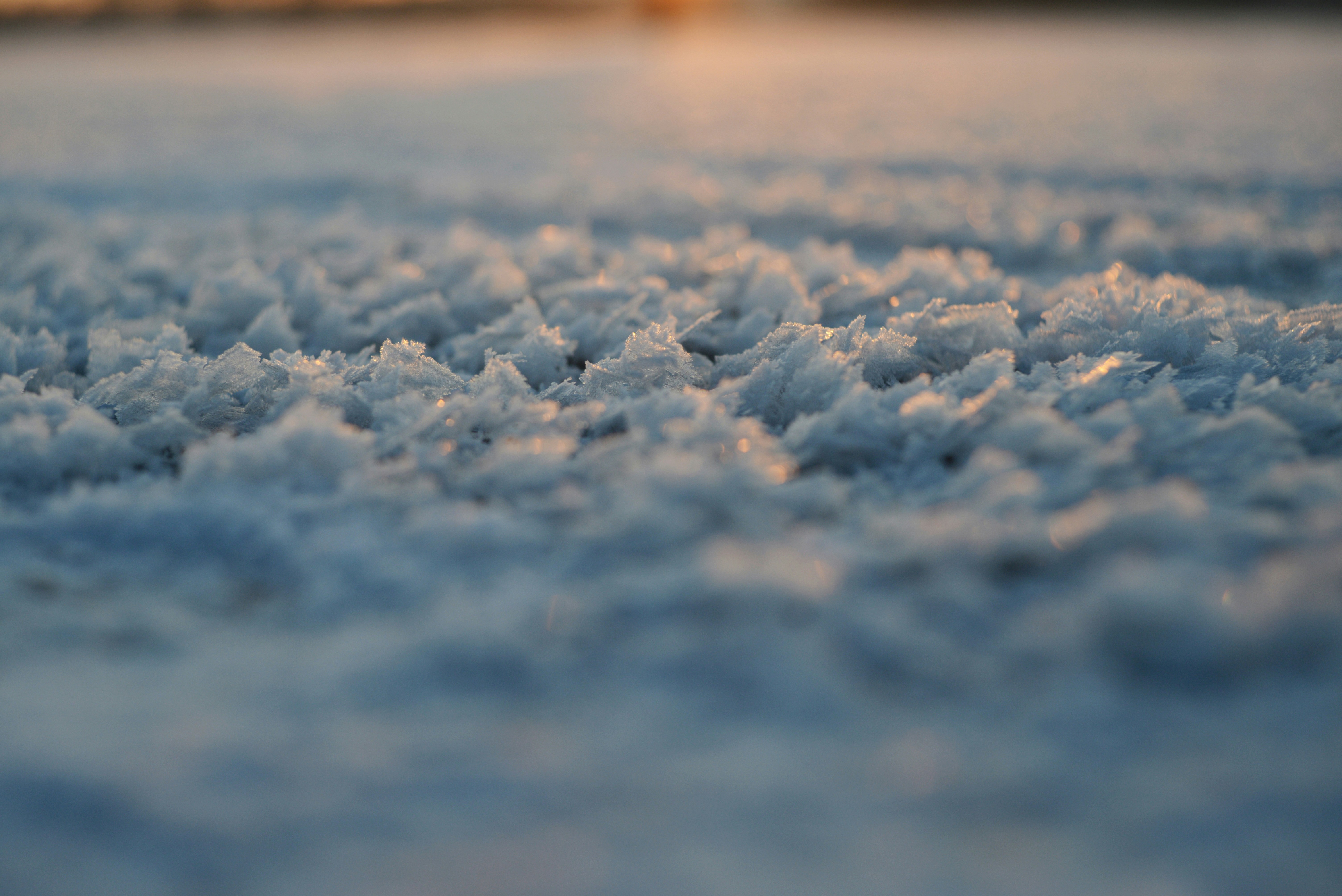 Photo by cherstve_pechivo