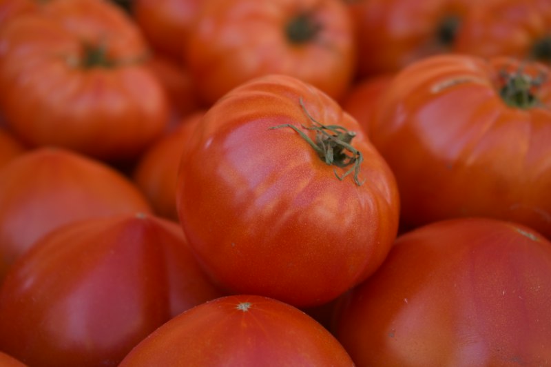 Tomate Concentrée Jumbo 400g