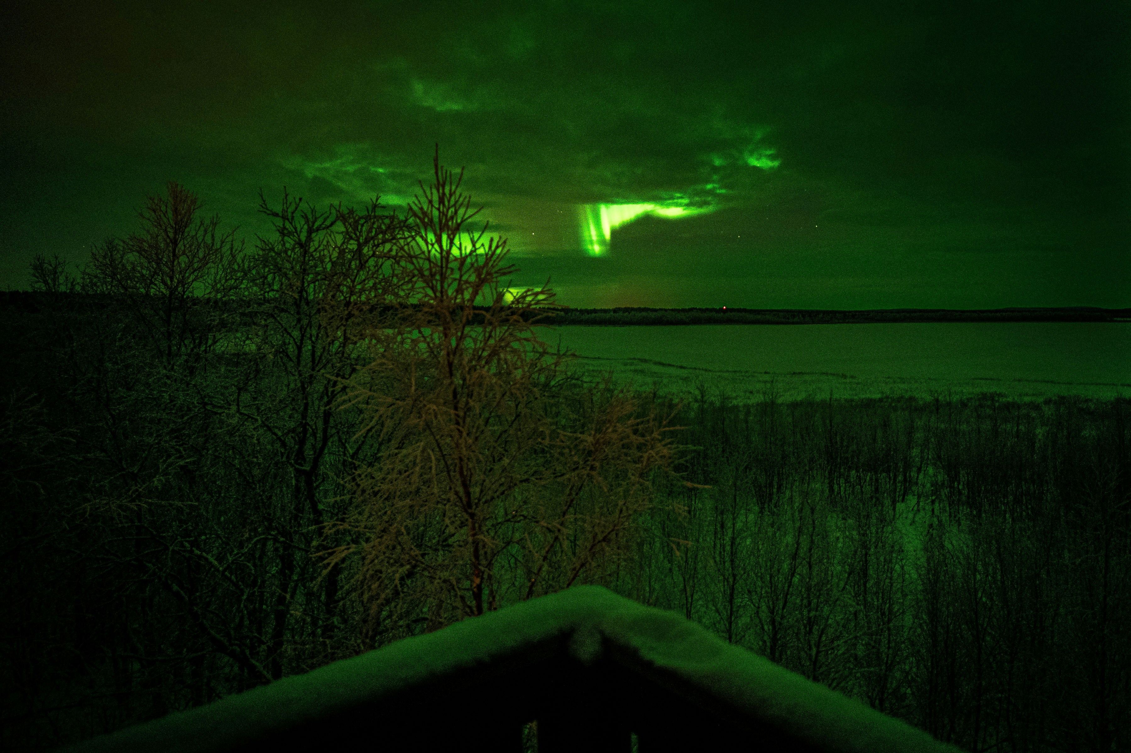 Green aurora borealis over a frozen landscape