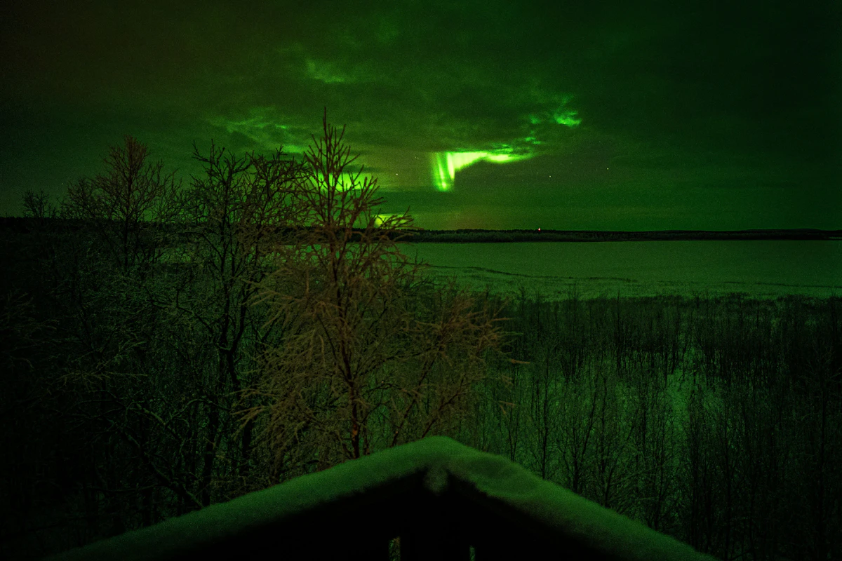 Faint green aurora above a dark treeline seen over a rooftop