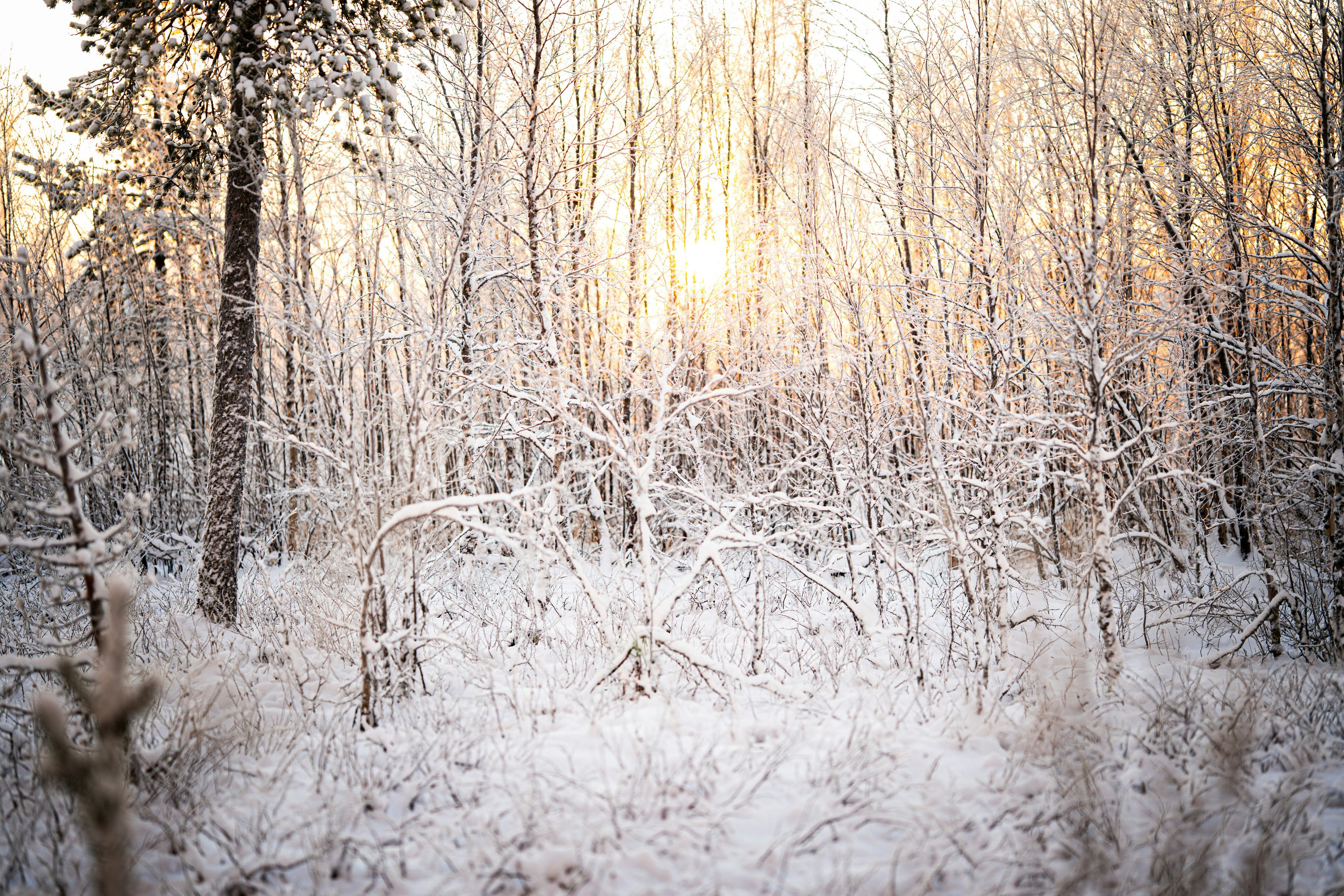 Photo by regardvrai