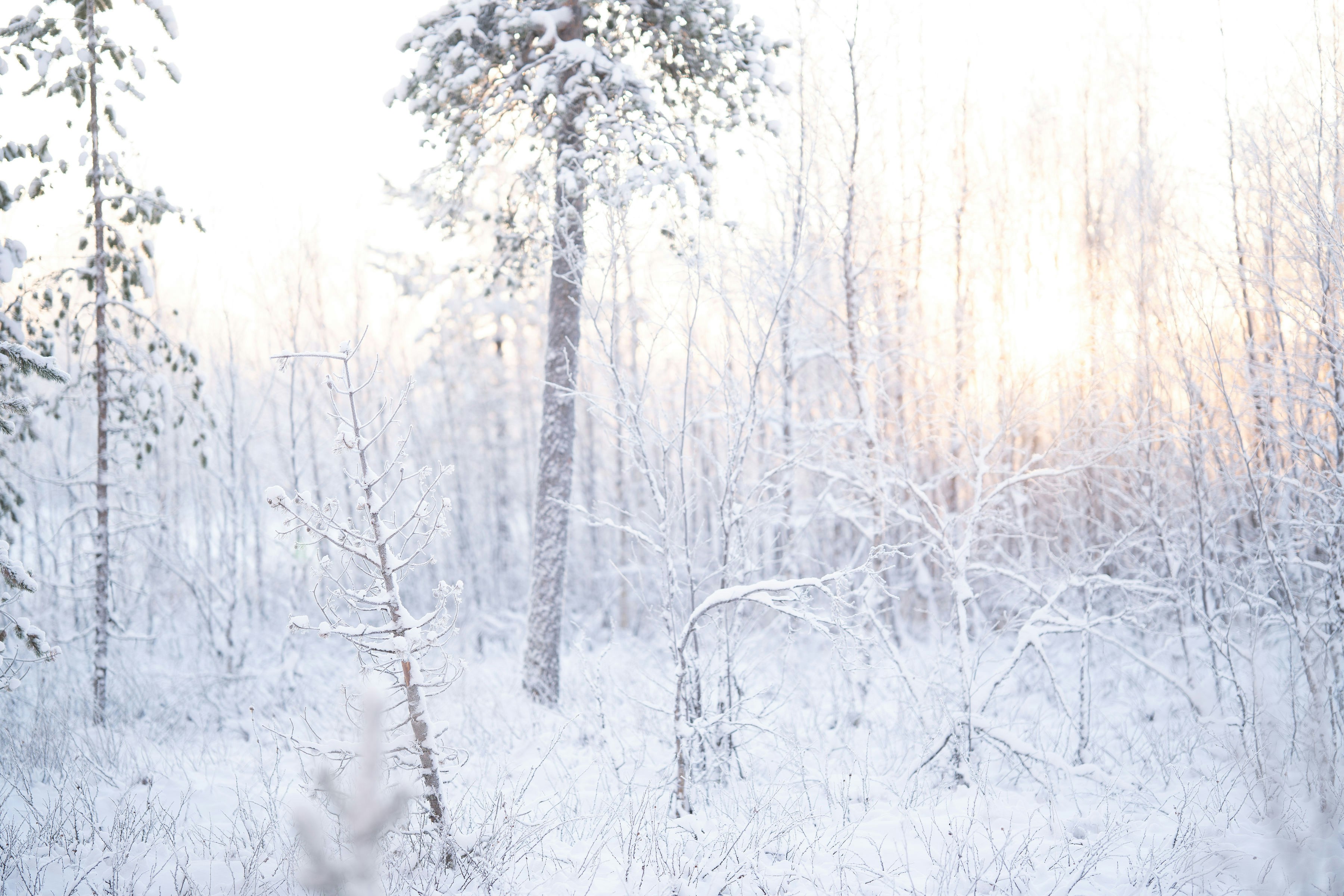 Photo by regardvrai
