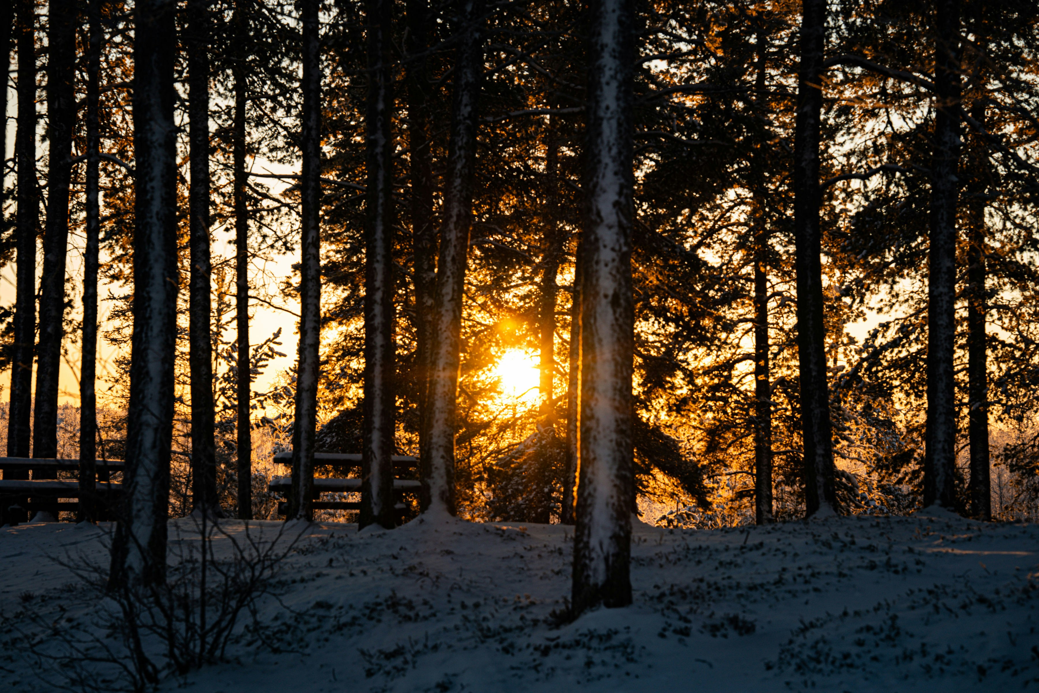 Photo by regardvrai