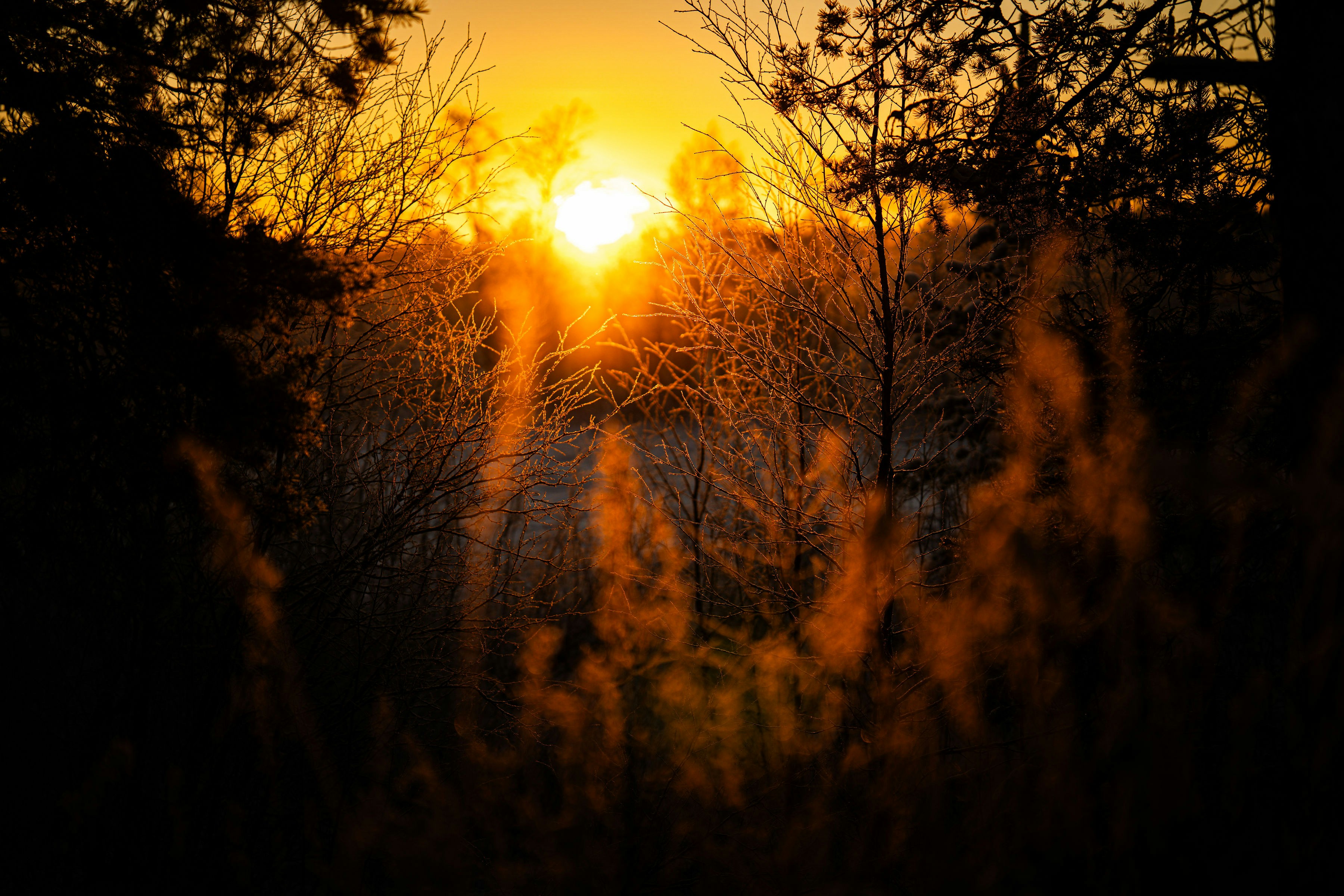 Photo by regardvrai